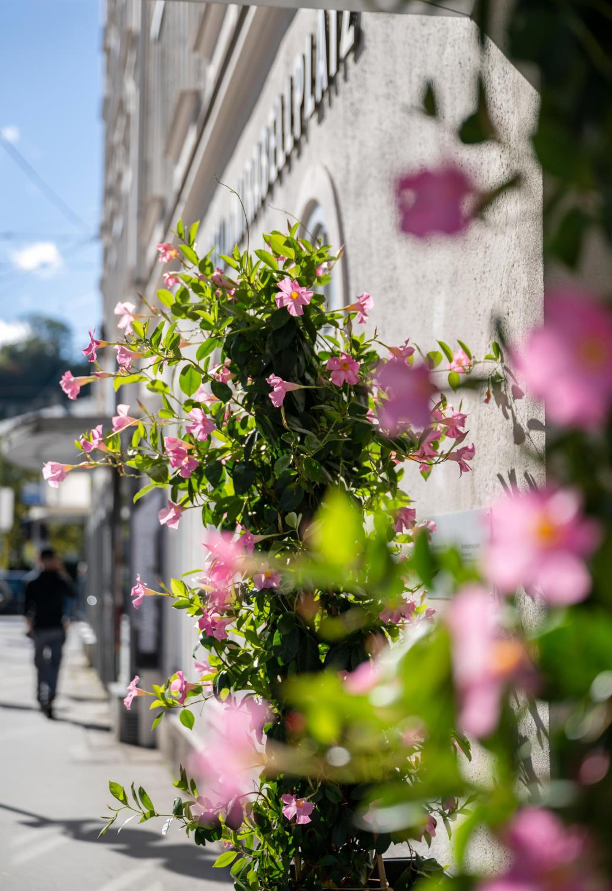 Salzburg Vacations - Hotel am Mirabellplatz - Property Image 31