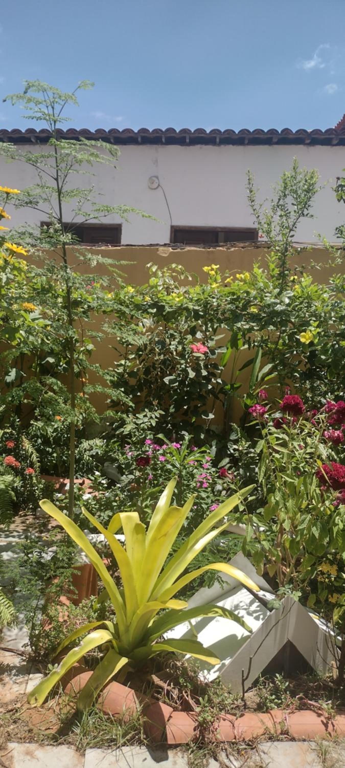 Casa Jeri