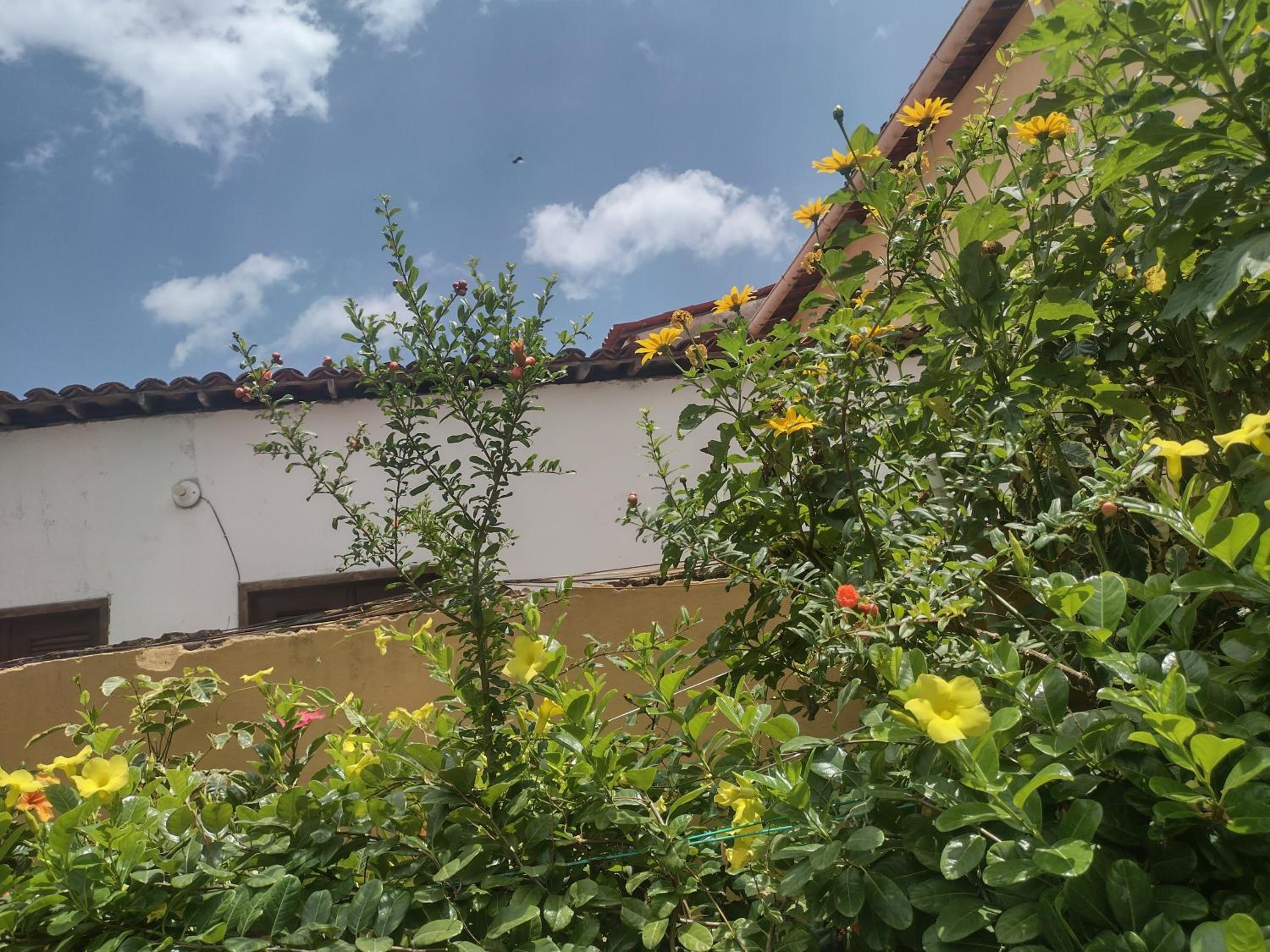 Casa Jeri