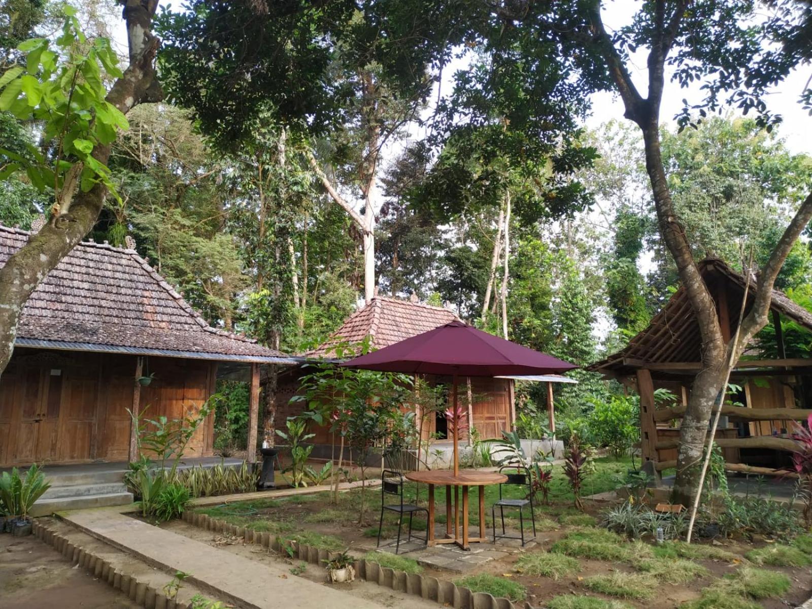 omah kayu jagalan view 2
