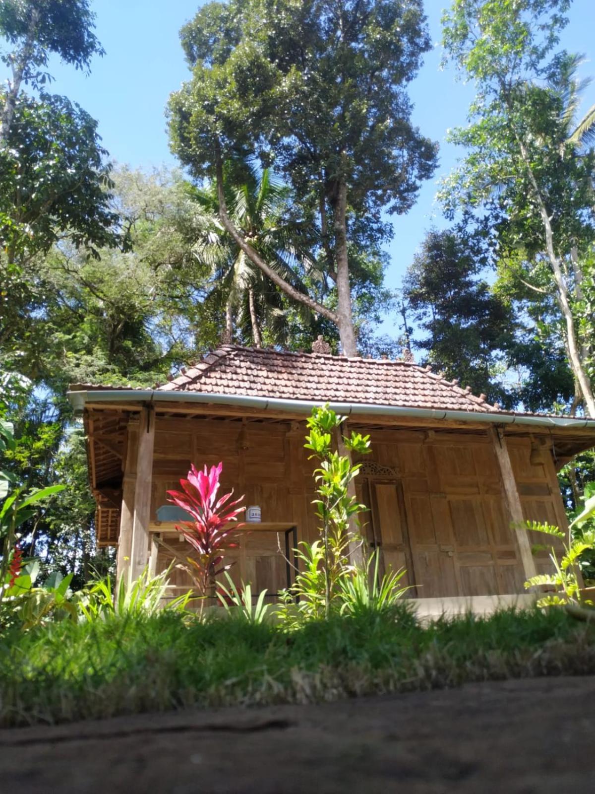 omah kayu jagalan view 4