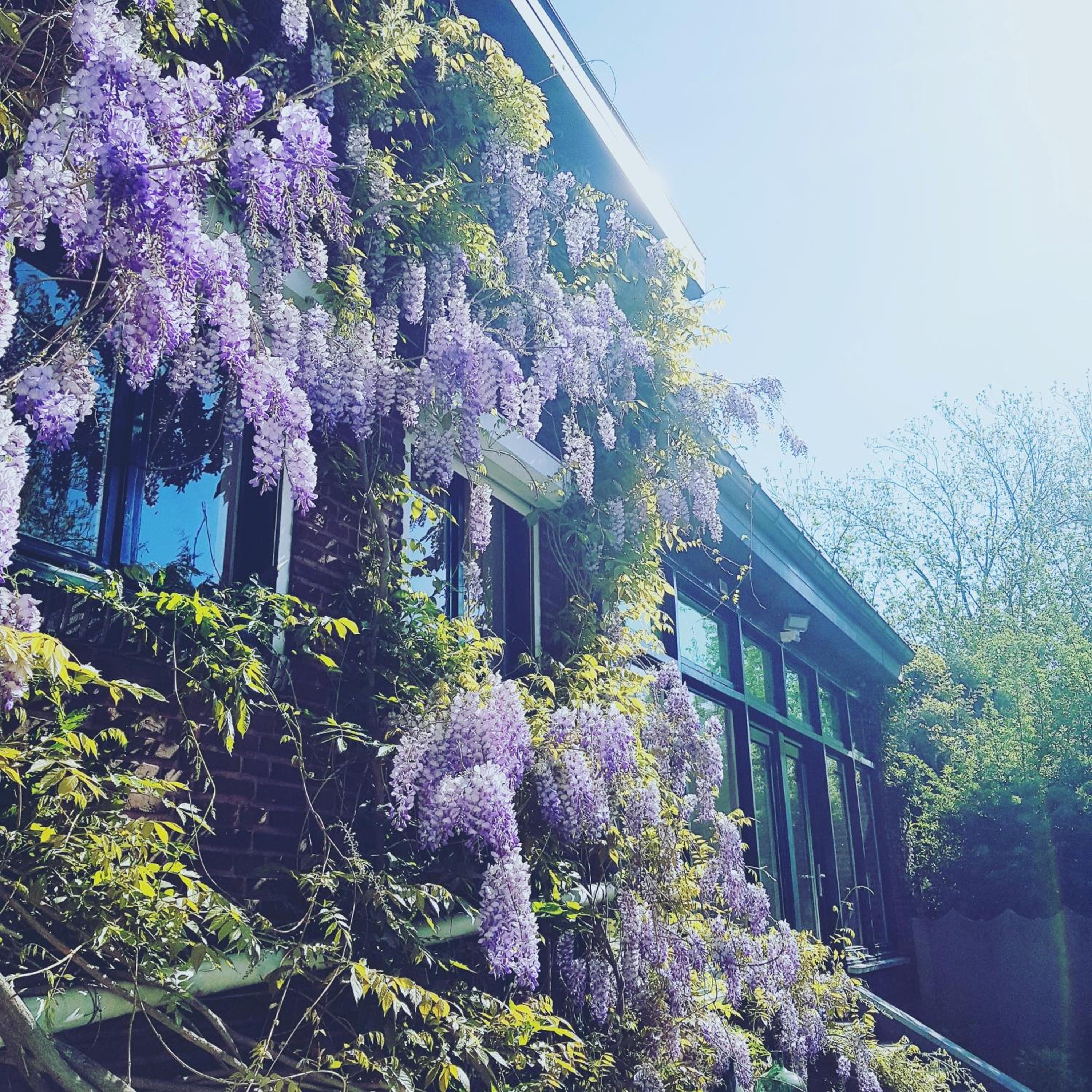 Vakantiewoning Guesthouse MOMO