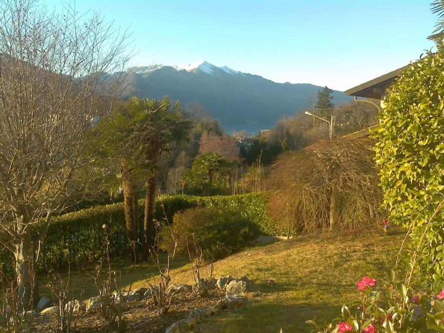 Summer Escape in Luino view 2