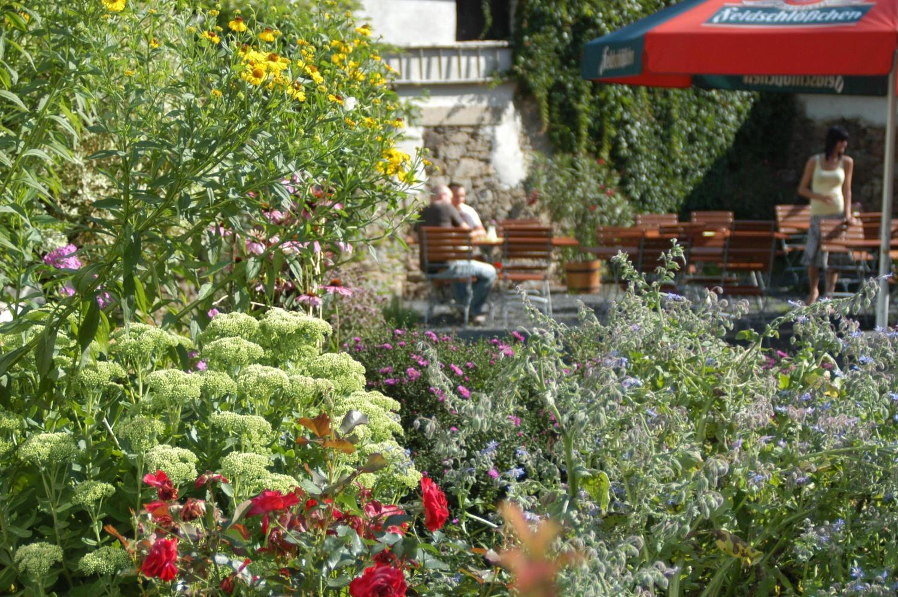 Pension Zum Hirsch