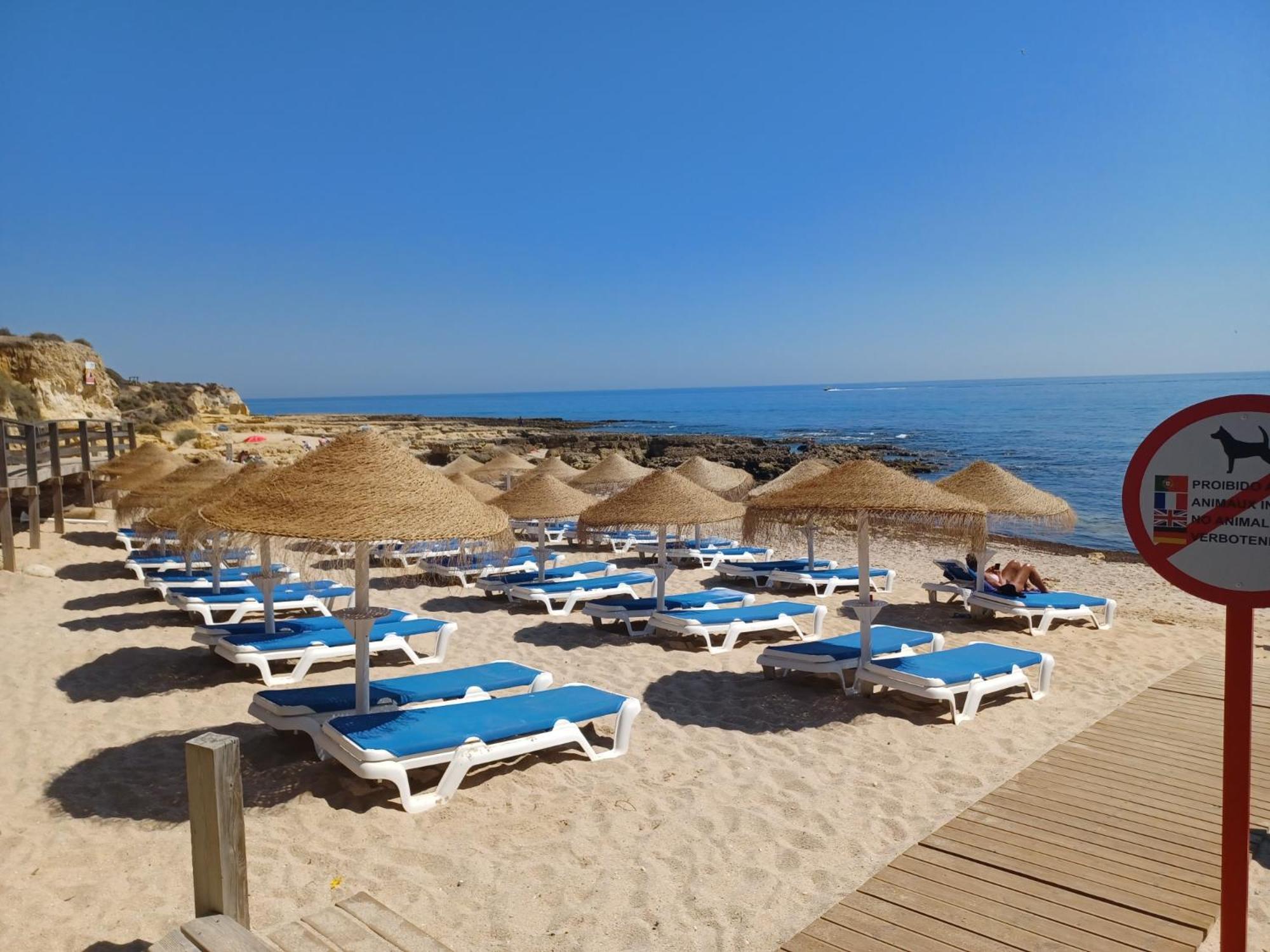 Albufeira Modern Condominium Vitismar With Pool view 4