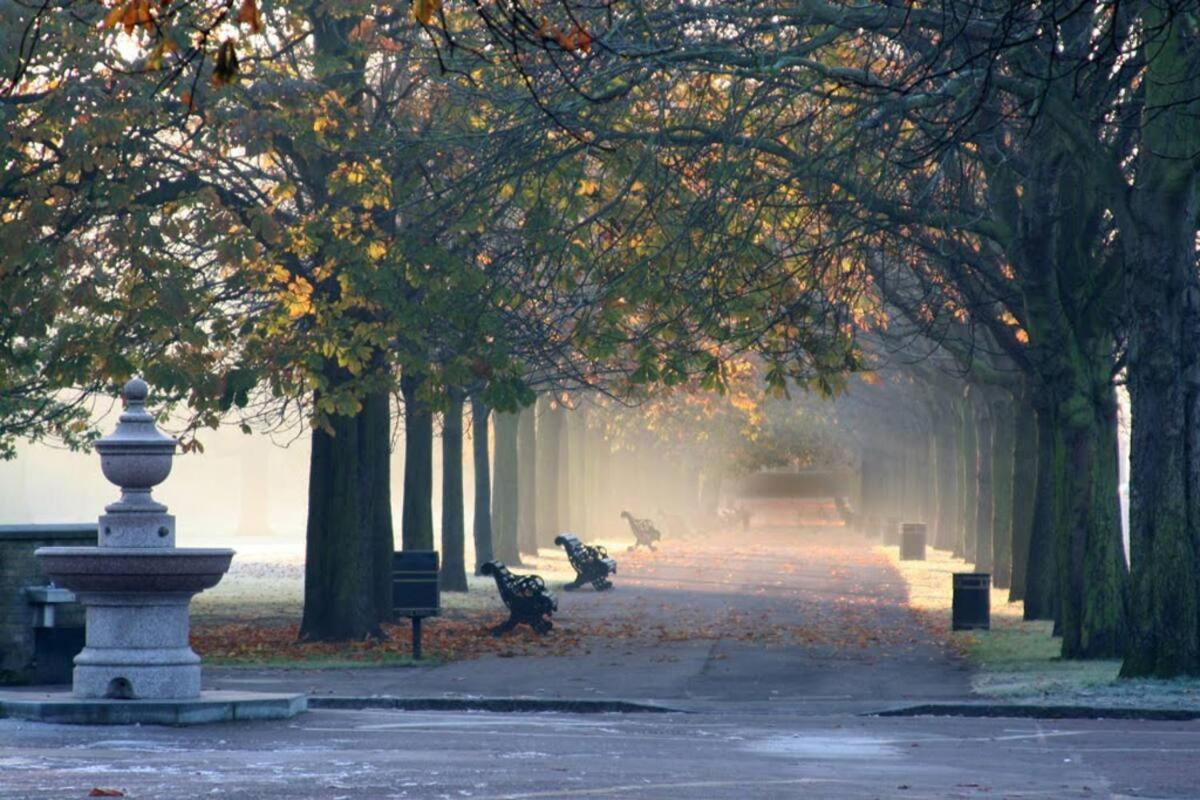 Elegant & spacious parkside 2-bedroom 2-bathroom flat in period building on Blackheath Common - private entrance, parking, great Greenwich location, easy f