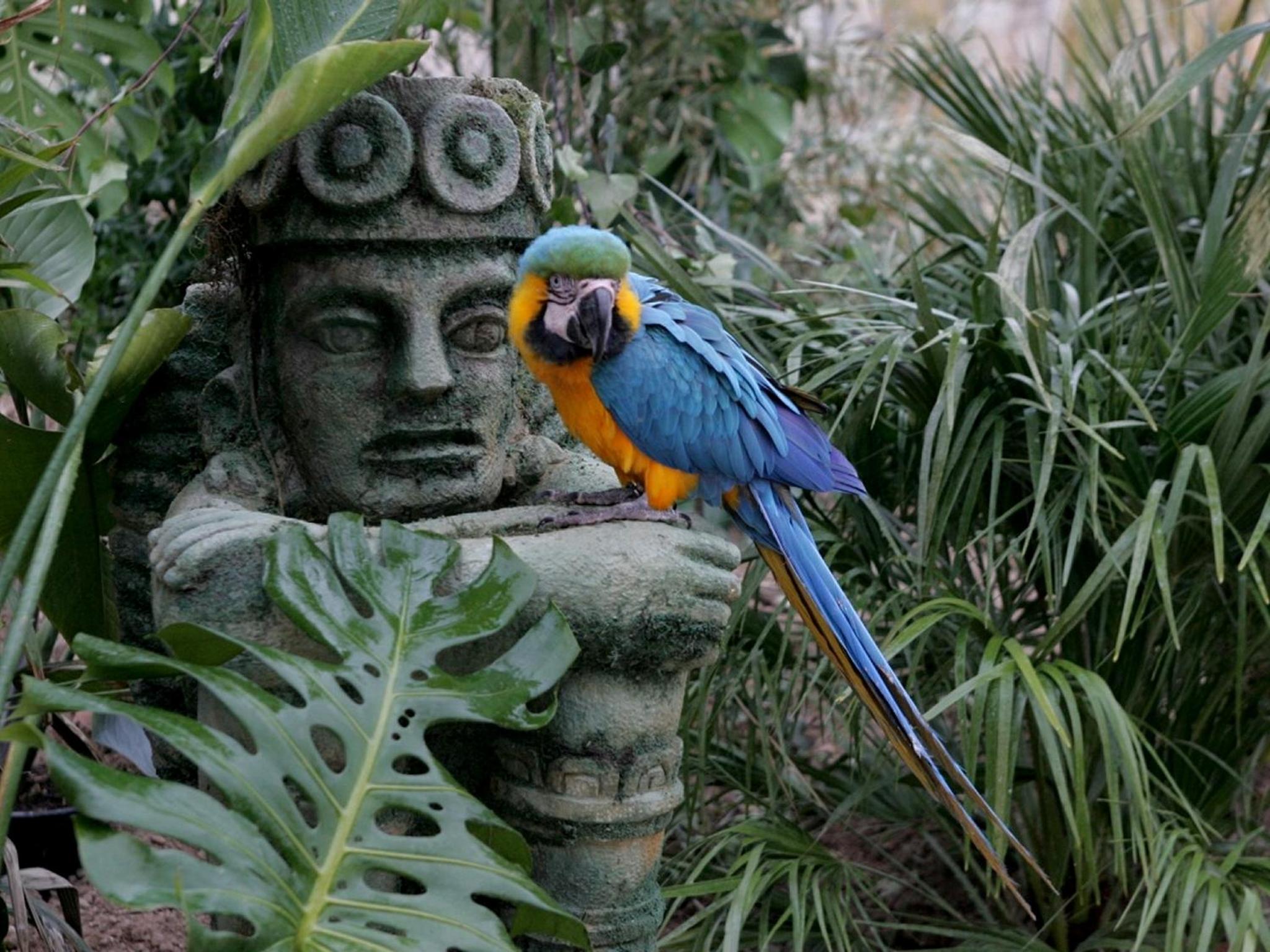 Magic Natura Resort