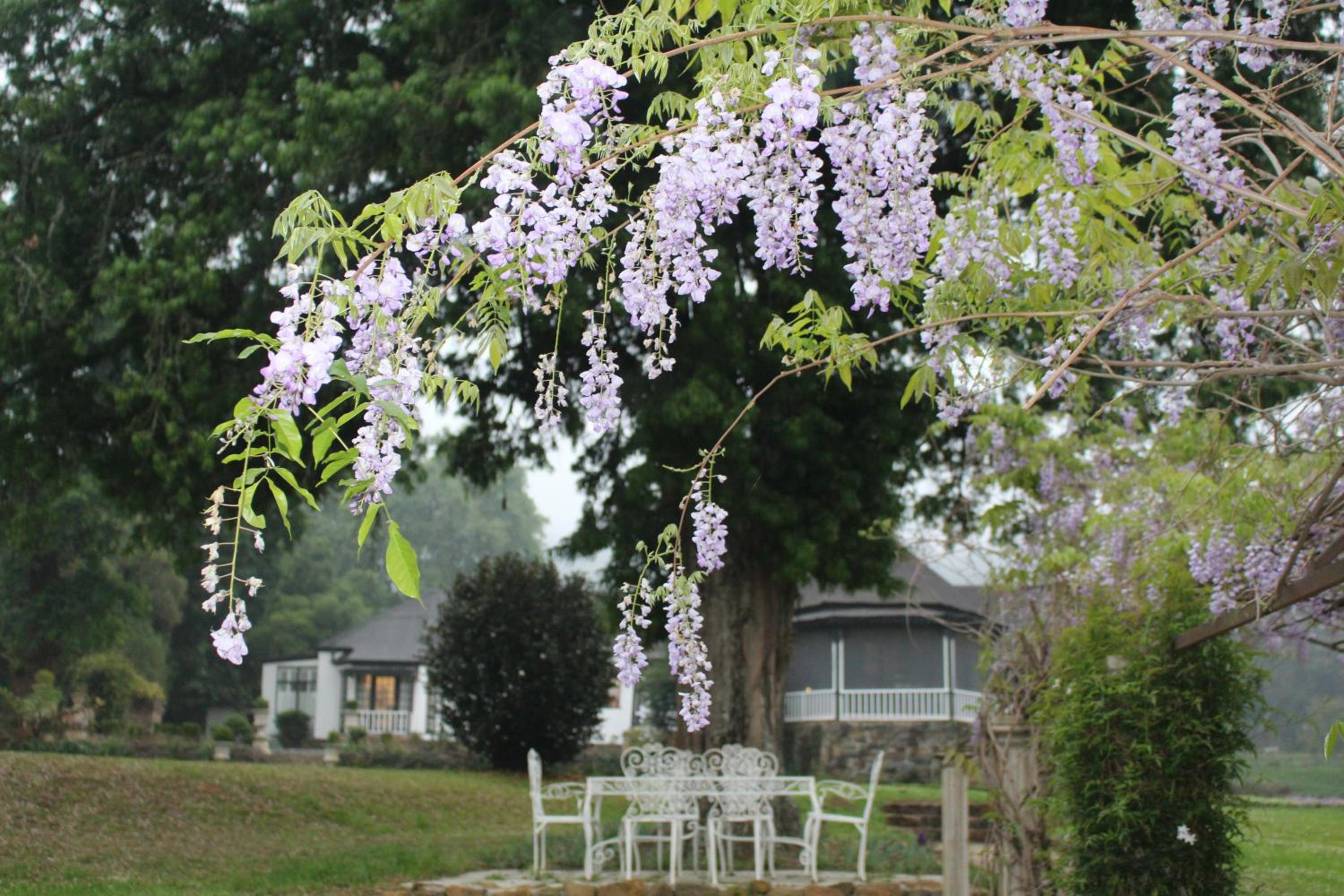Newstead Farm - Country Cottages