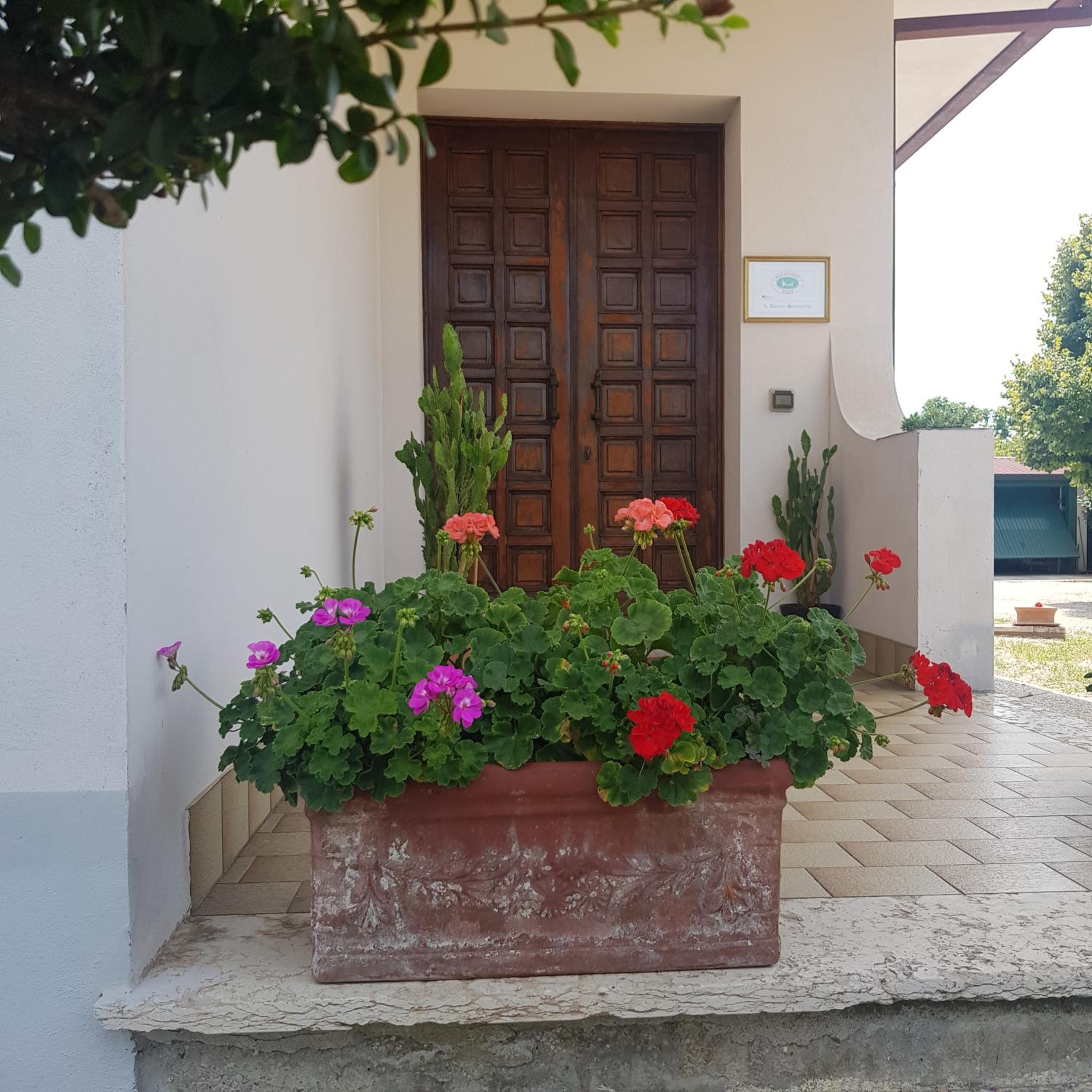 B & B Cedro Argentato view 3