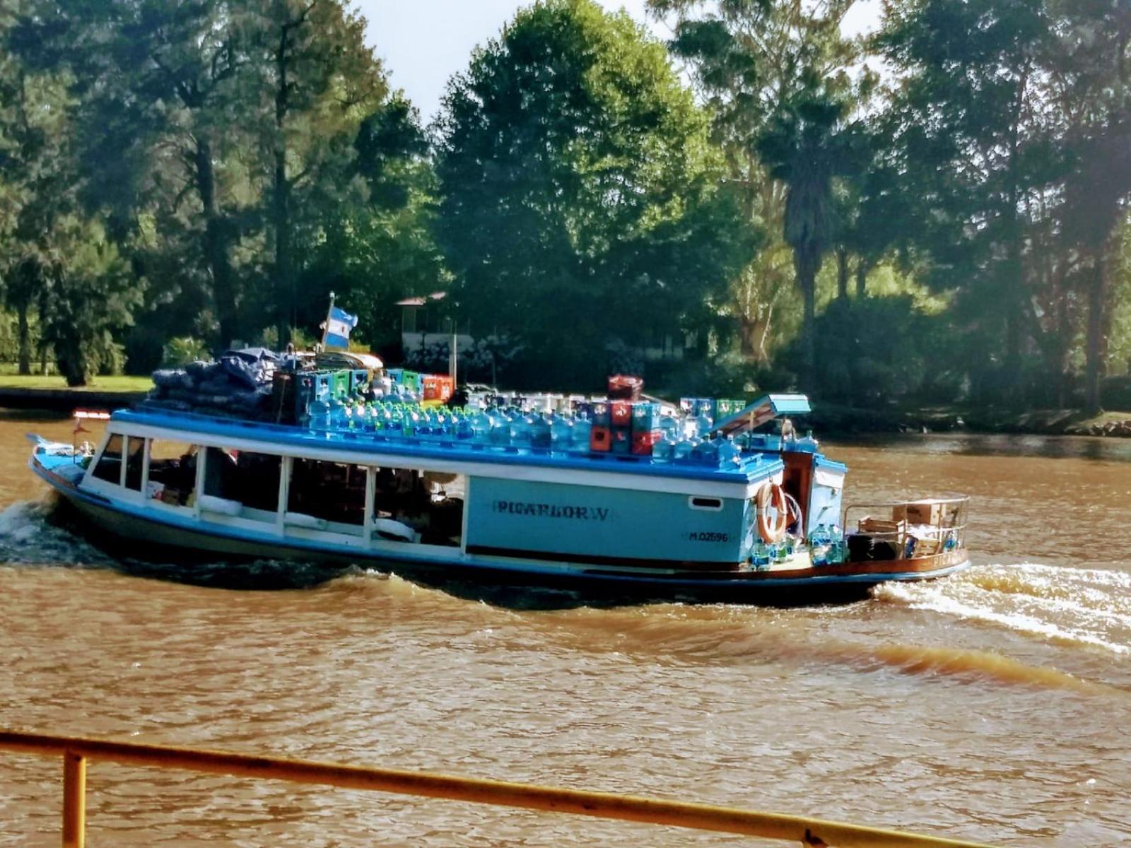 Delta tigre