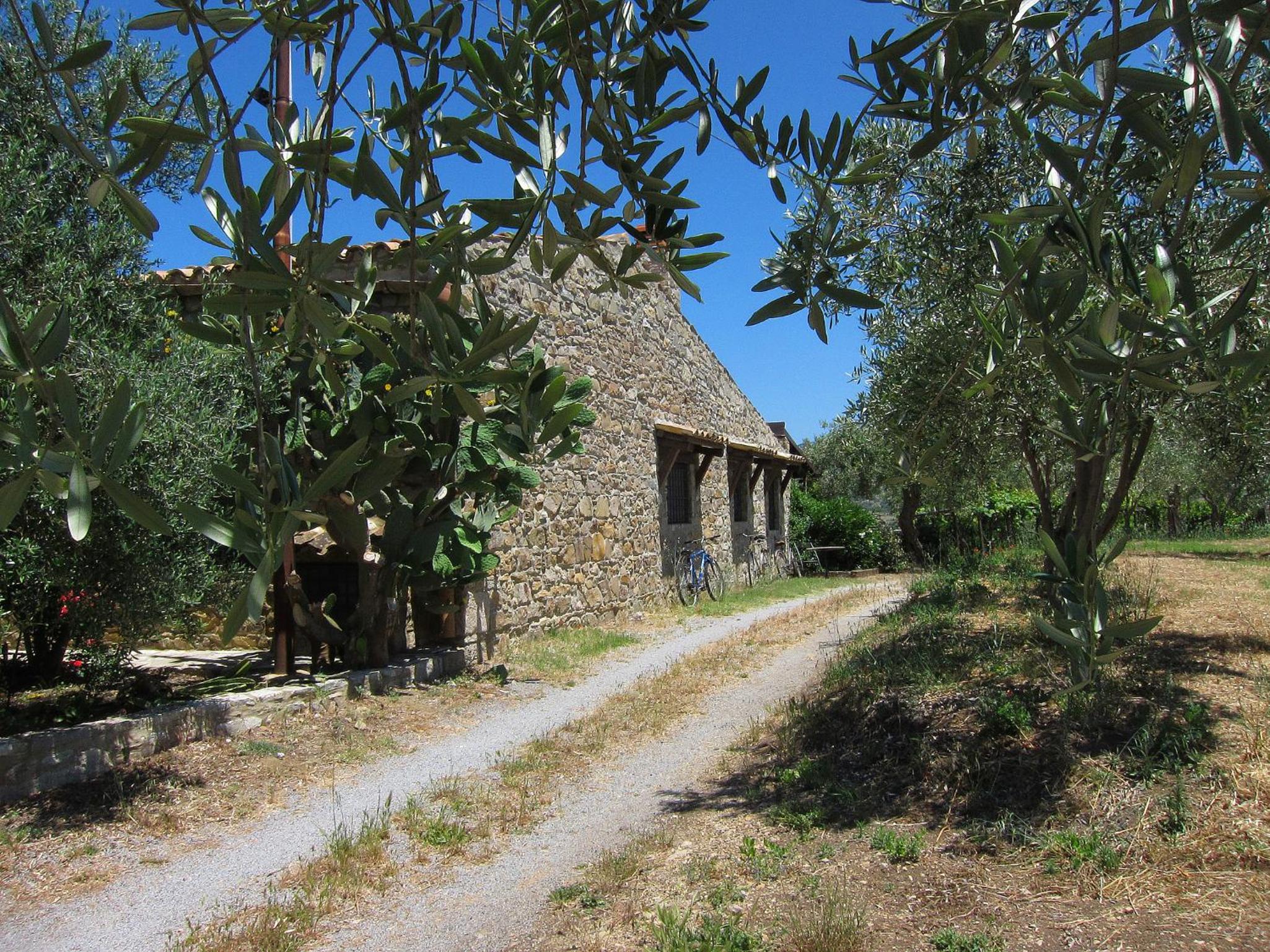 Villa Degli Ulivi view 4