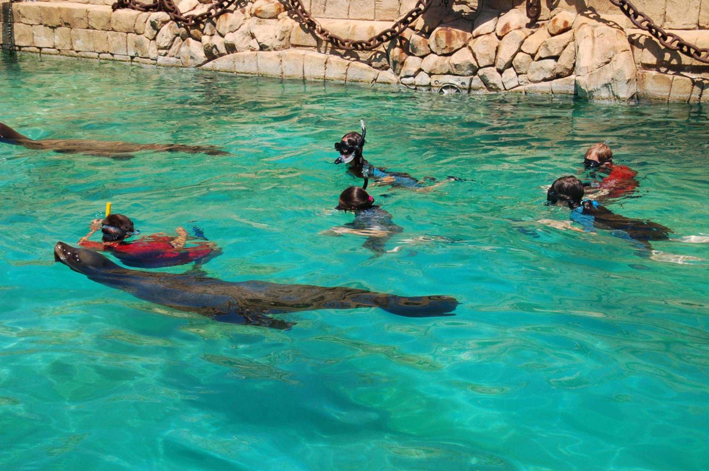 Magic Natura Resort