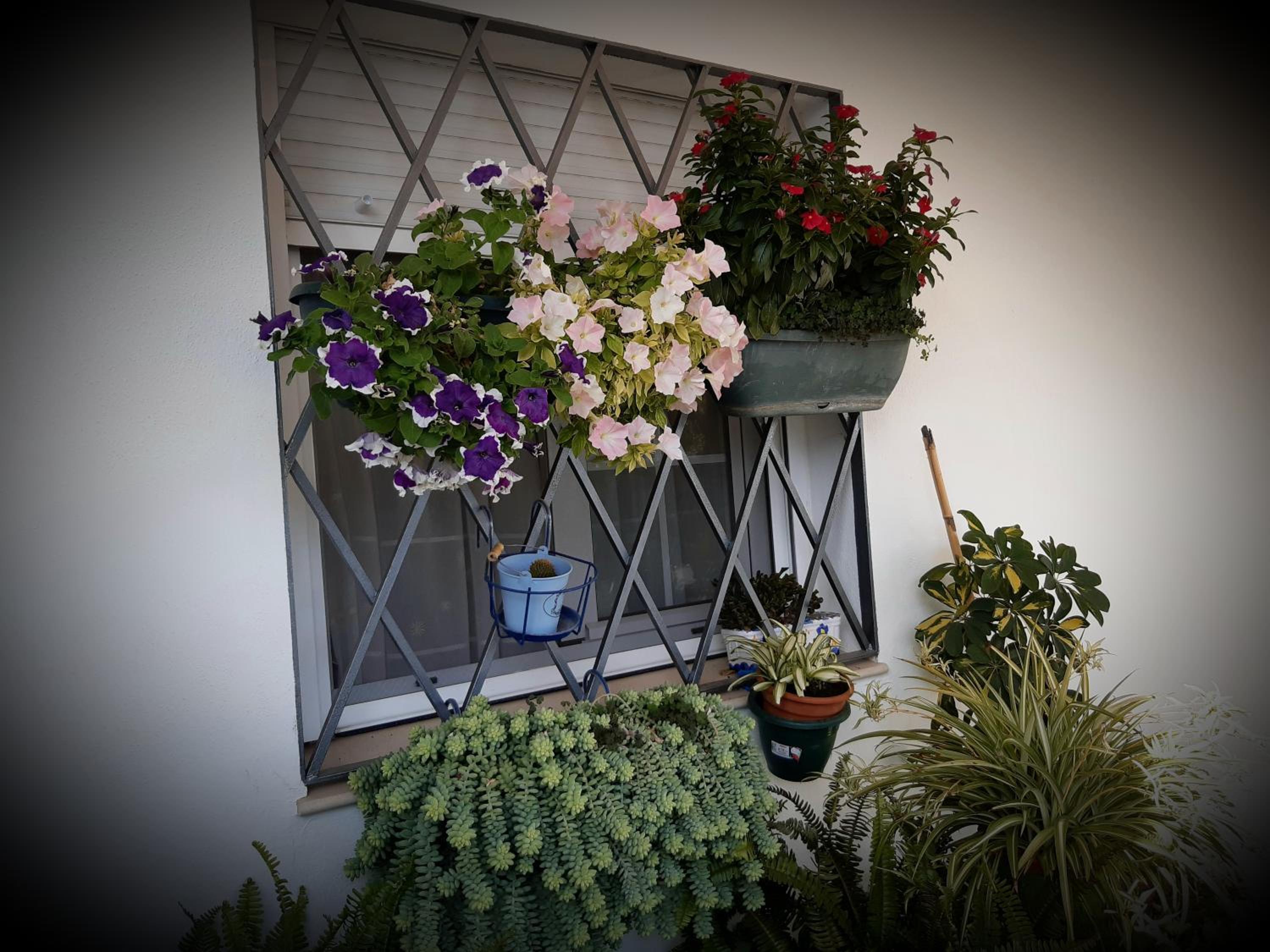 Casa Rural Pariente