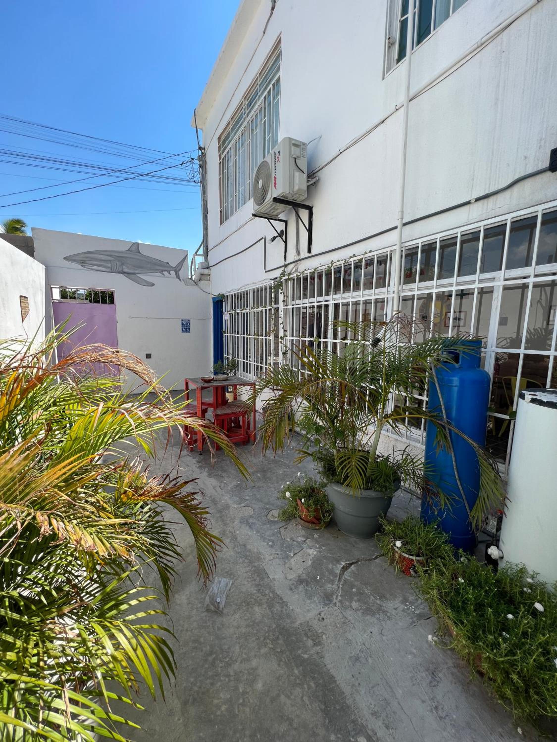 Photo 14