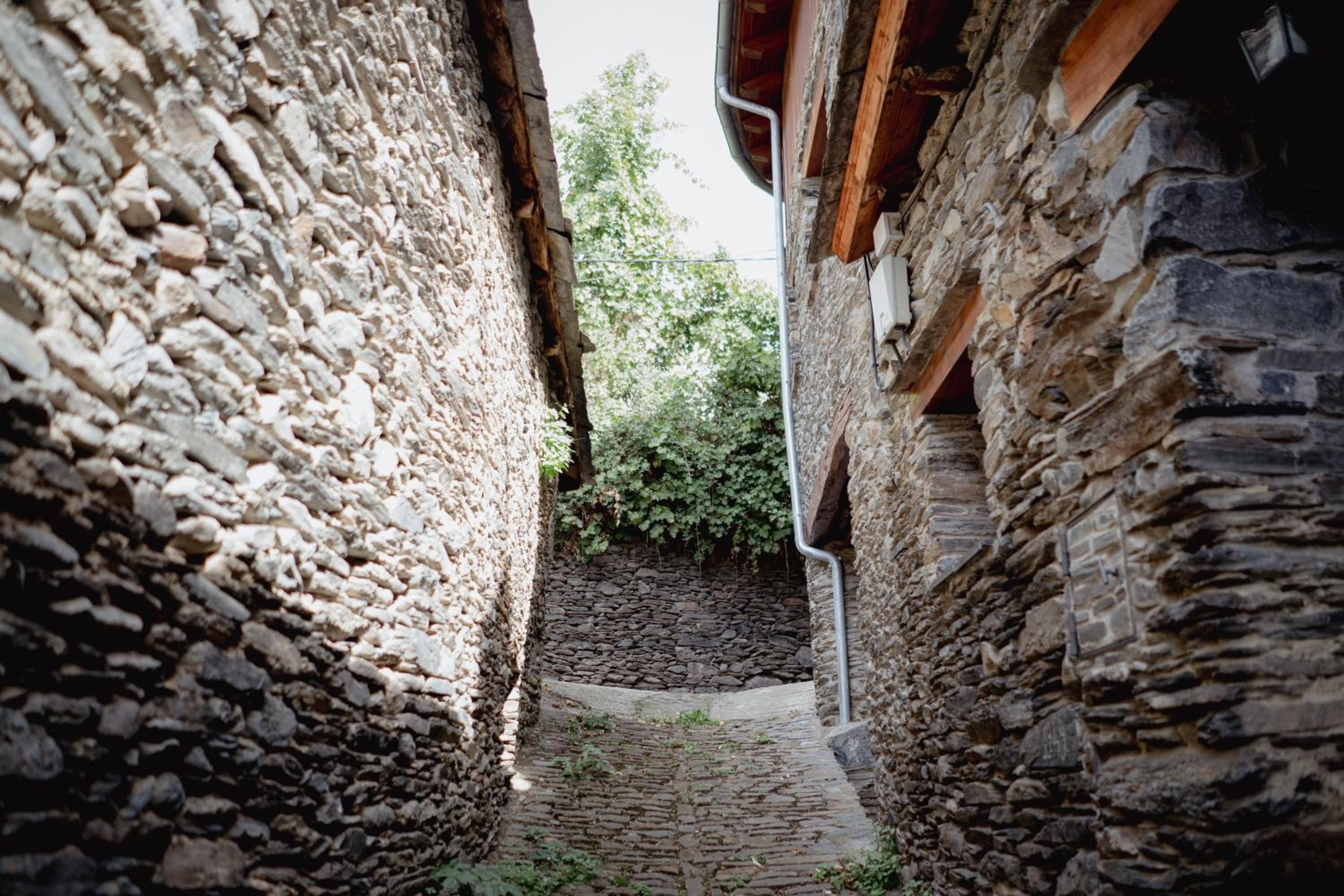 Photo 52