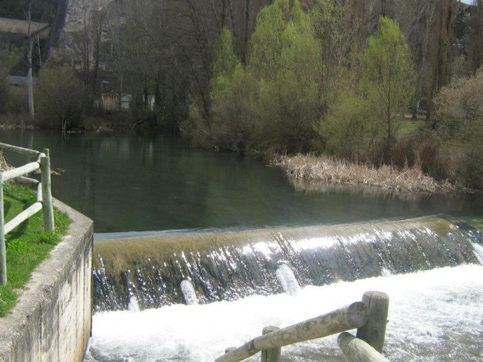Photo 31