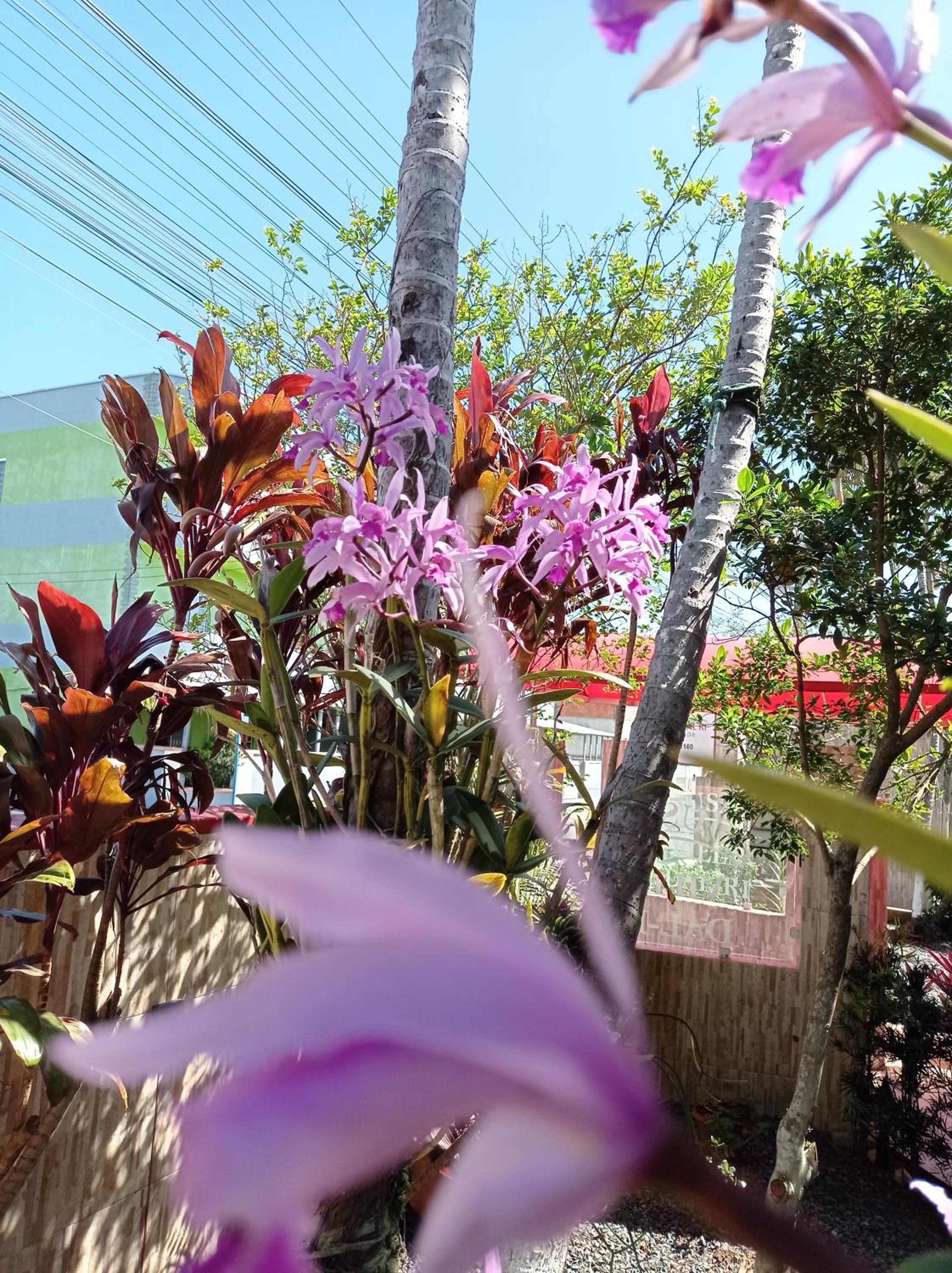 Pousada Navegantes