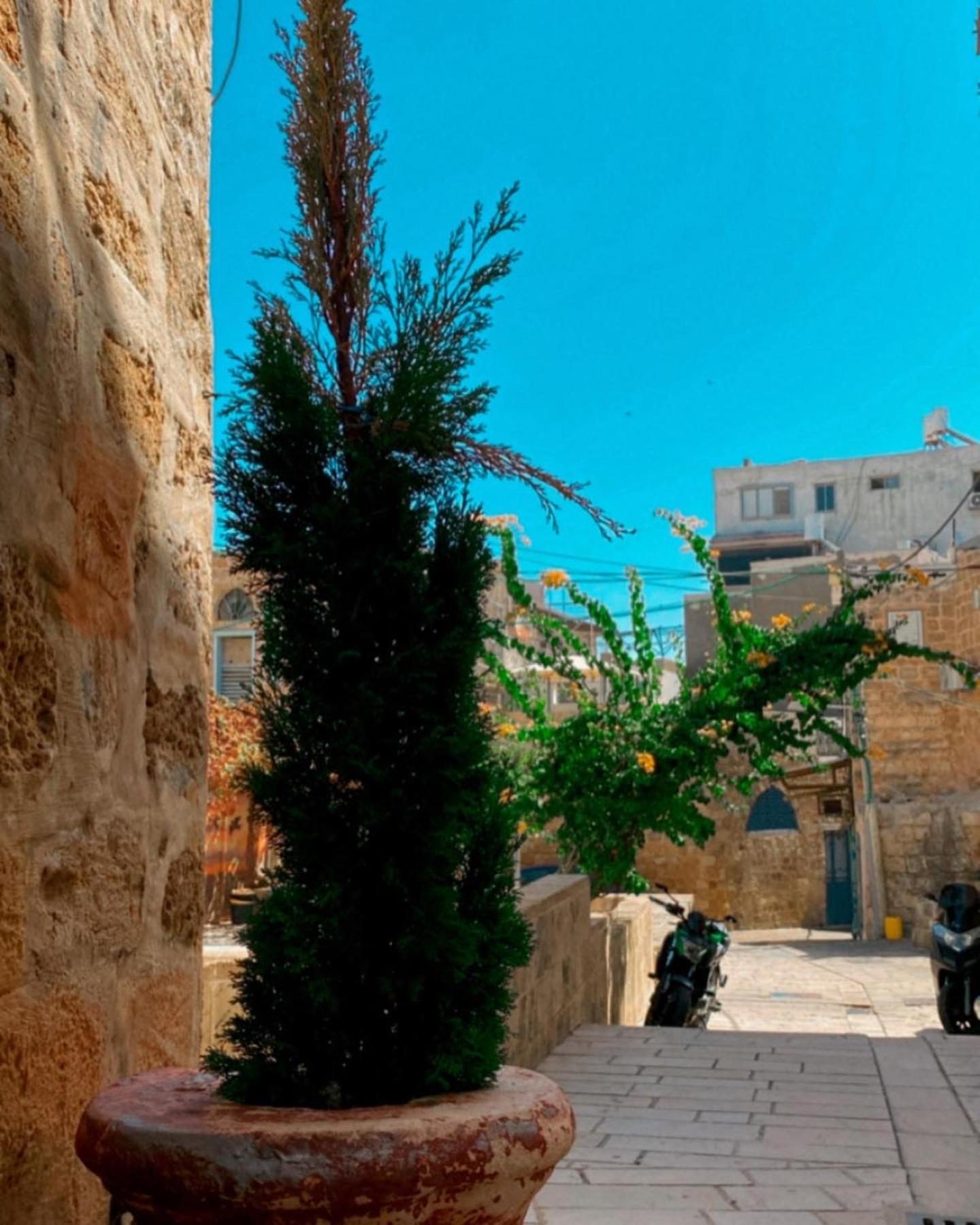 Bab al-sham funduk, photo 160