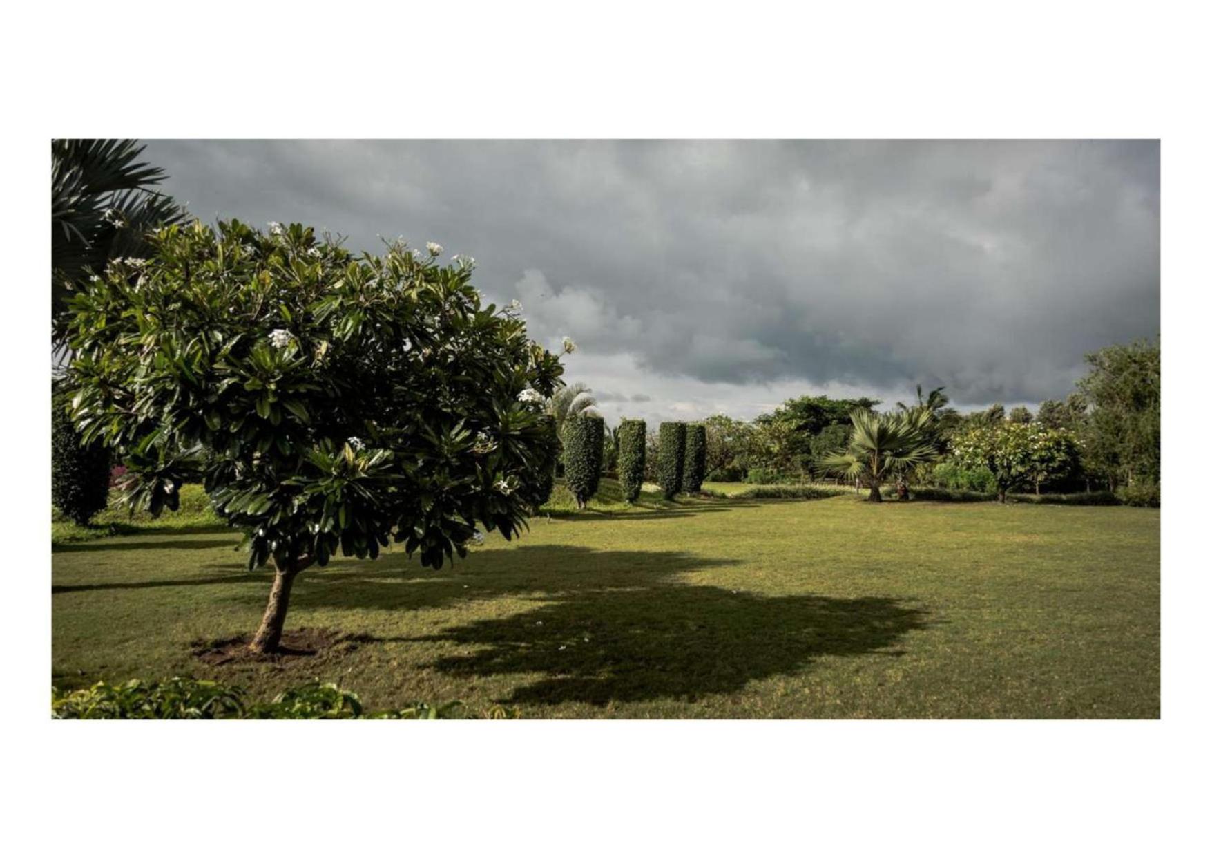 NATURE ELEMENTS NASHIK view 4