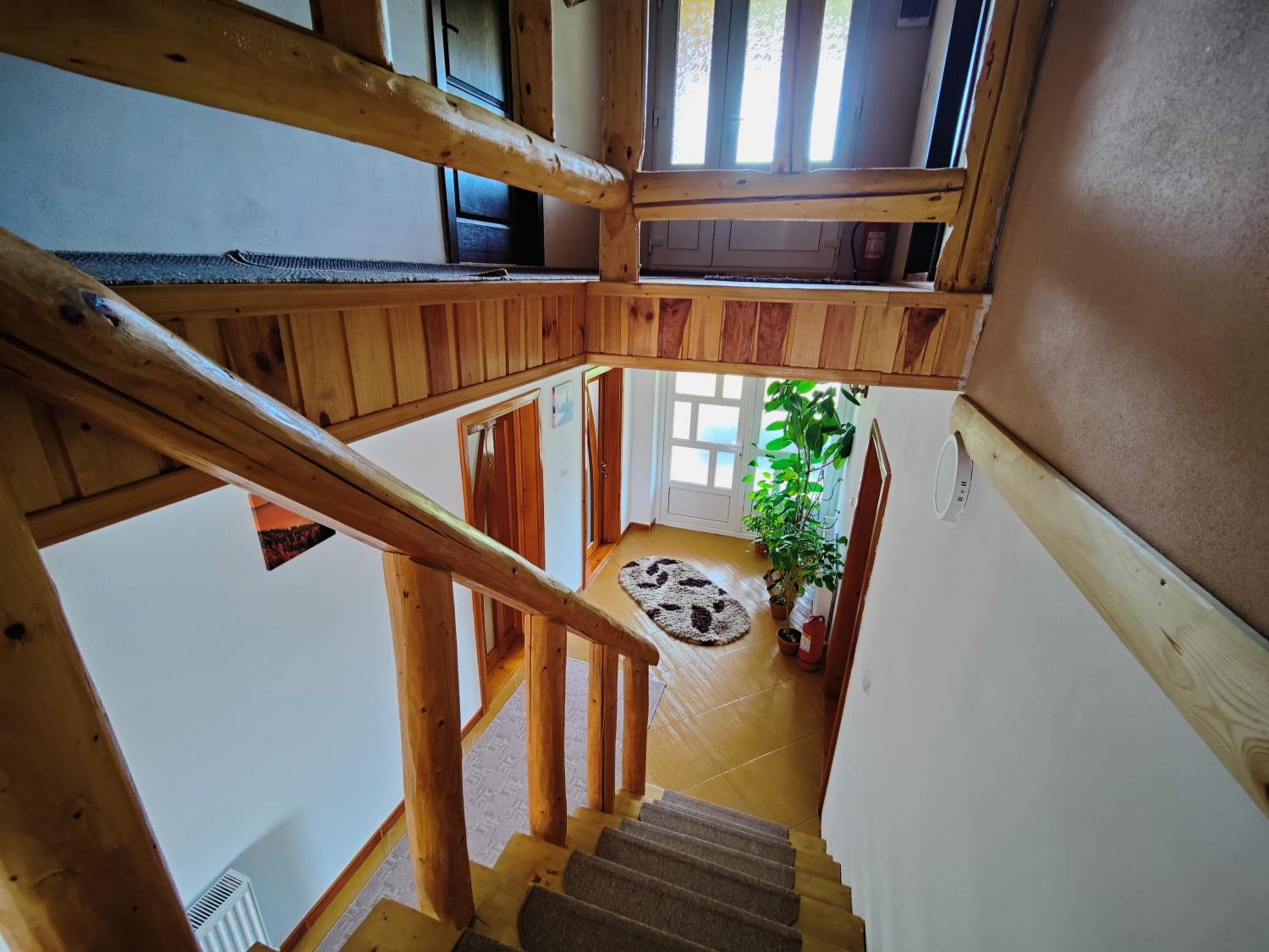 Photo 48