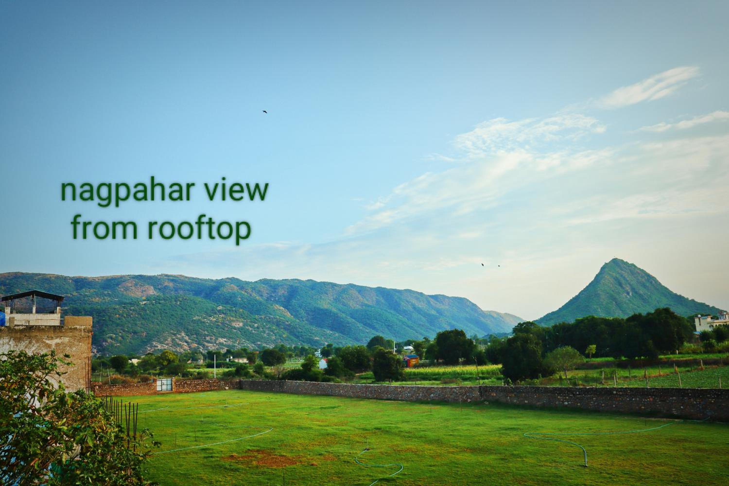roof