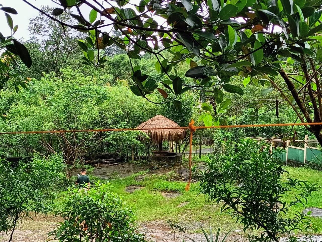 Stream Side Guest House view 2