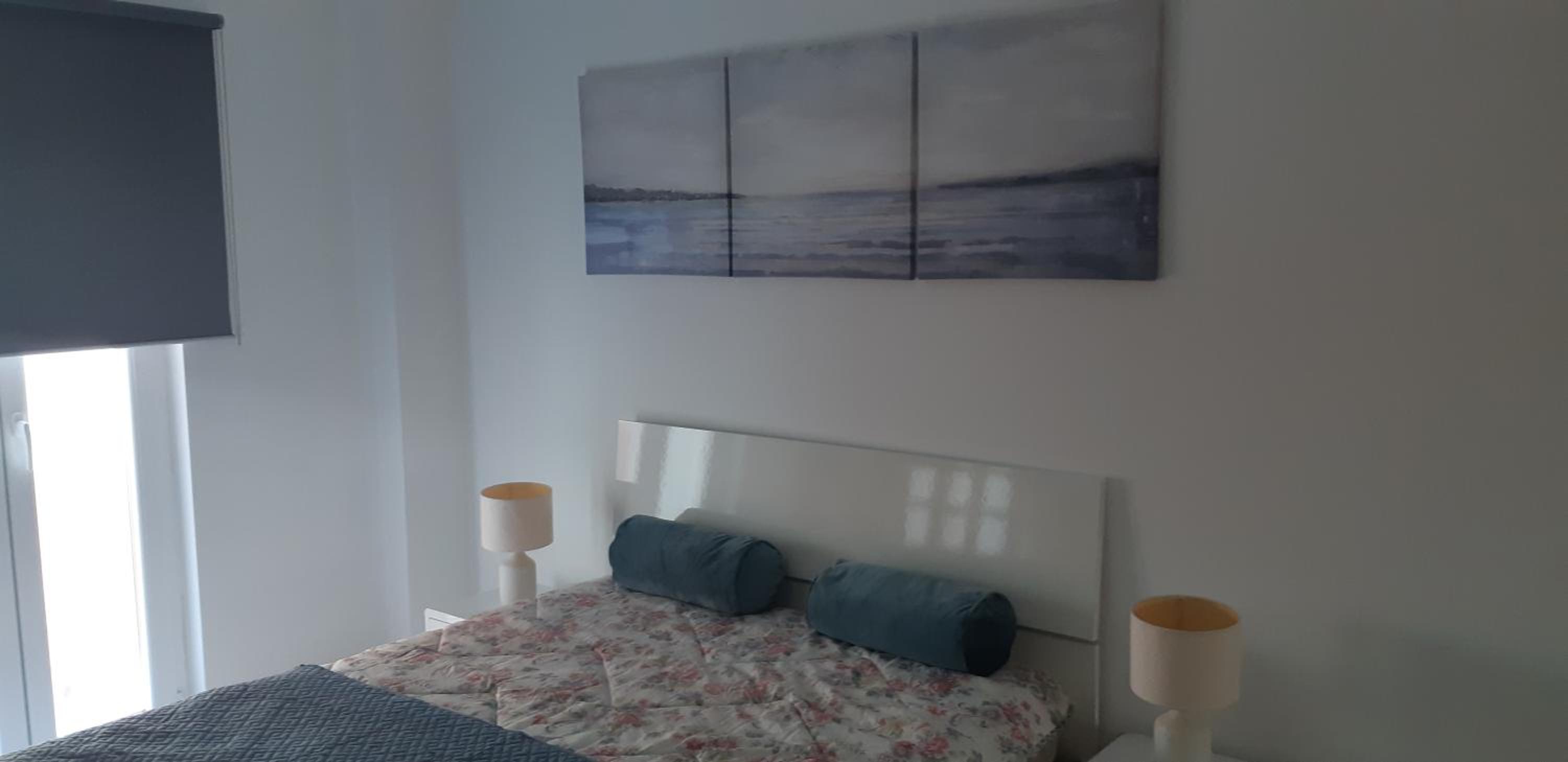 Zimbra Blue Apartment