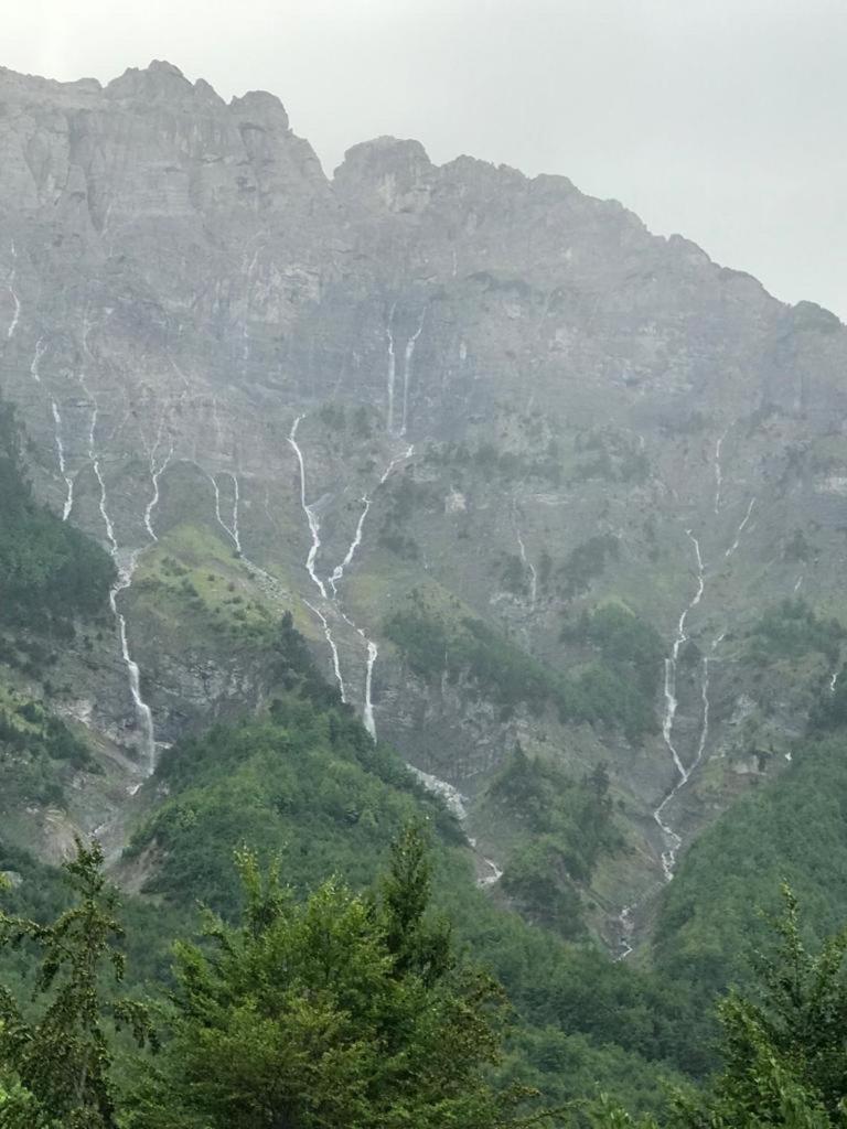 Bujtina Arlindi