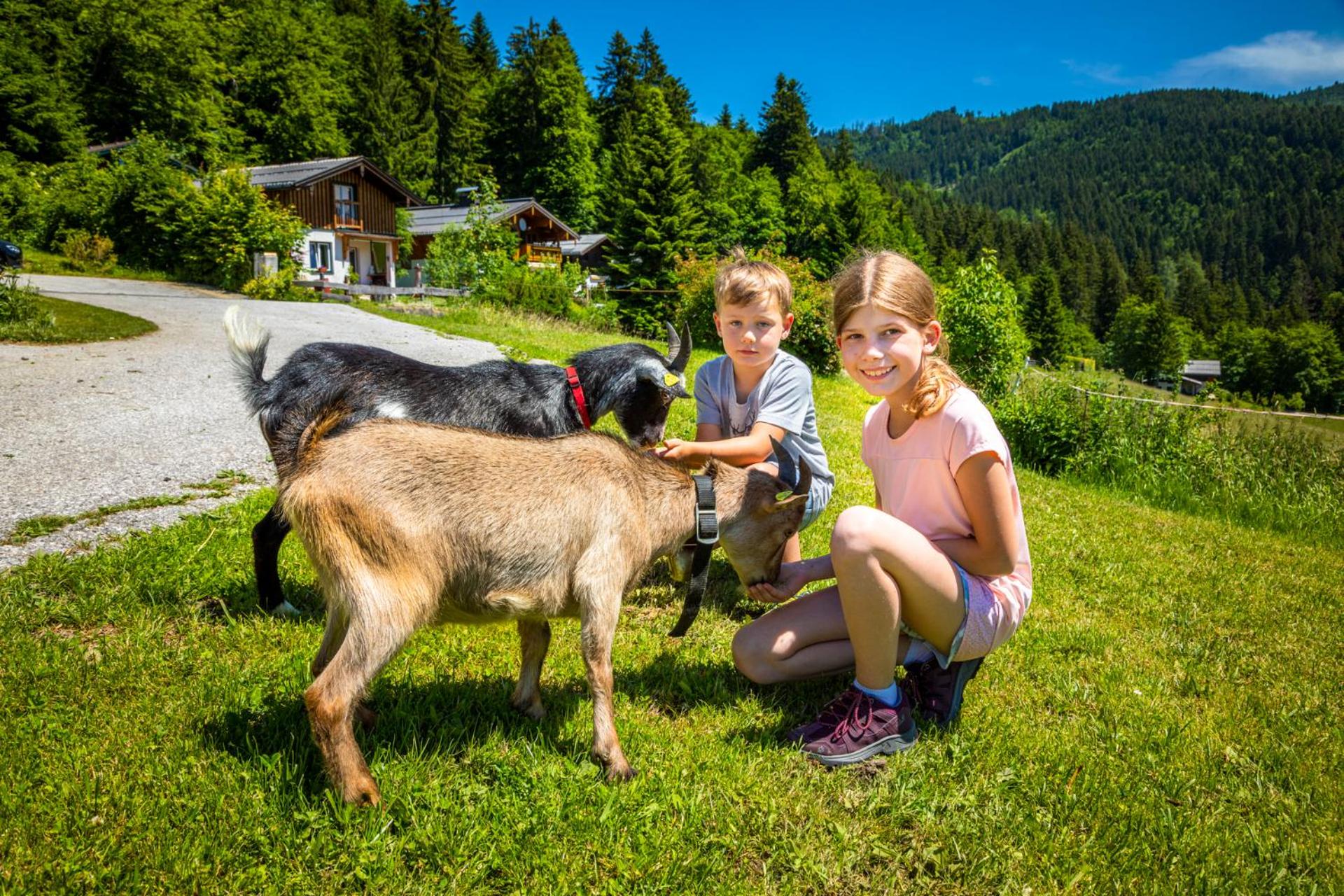 Appartement Reitlhof - Familie Krispler - Bio-Berg-Bauernhof view 3