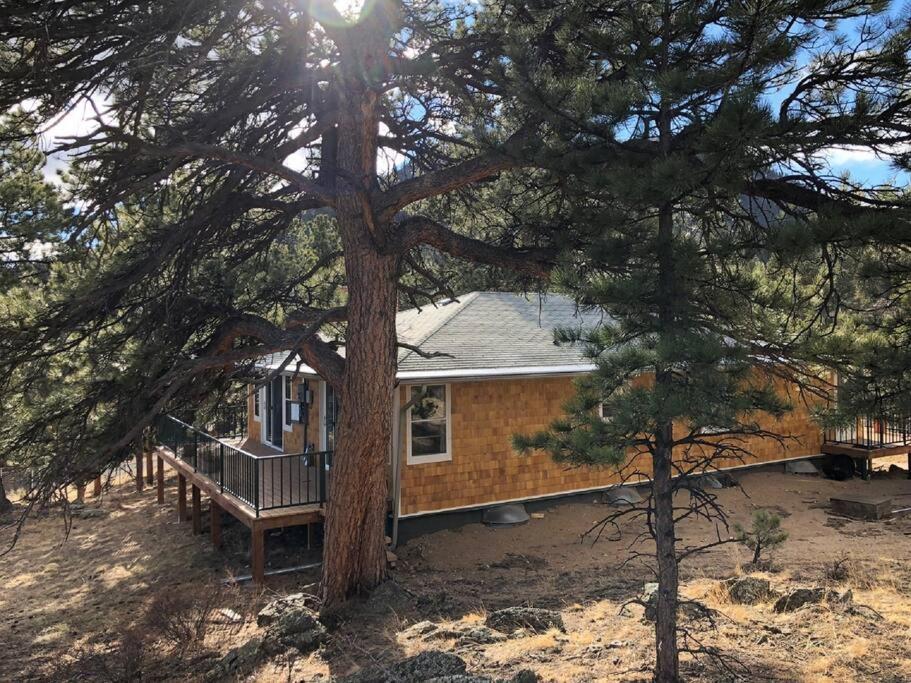 Hot Tub! Pets Ok! Perfect Estes Park Getaway, Walk to Town 3 Kings!#3337