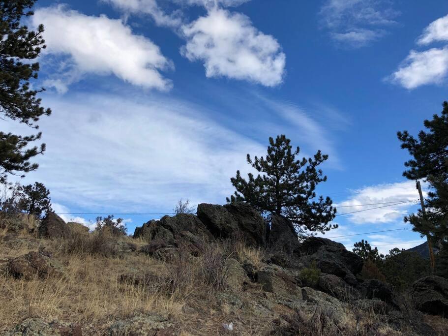 Hot Tub! Pets Ok! Perfect Estes Park Getaway, Walk to Town 3 Kings!#3337