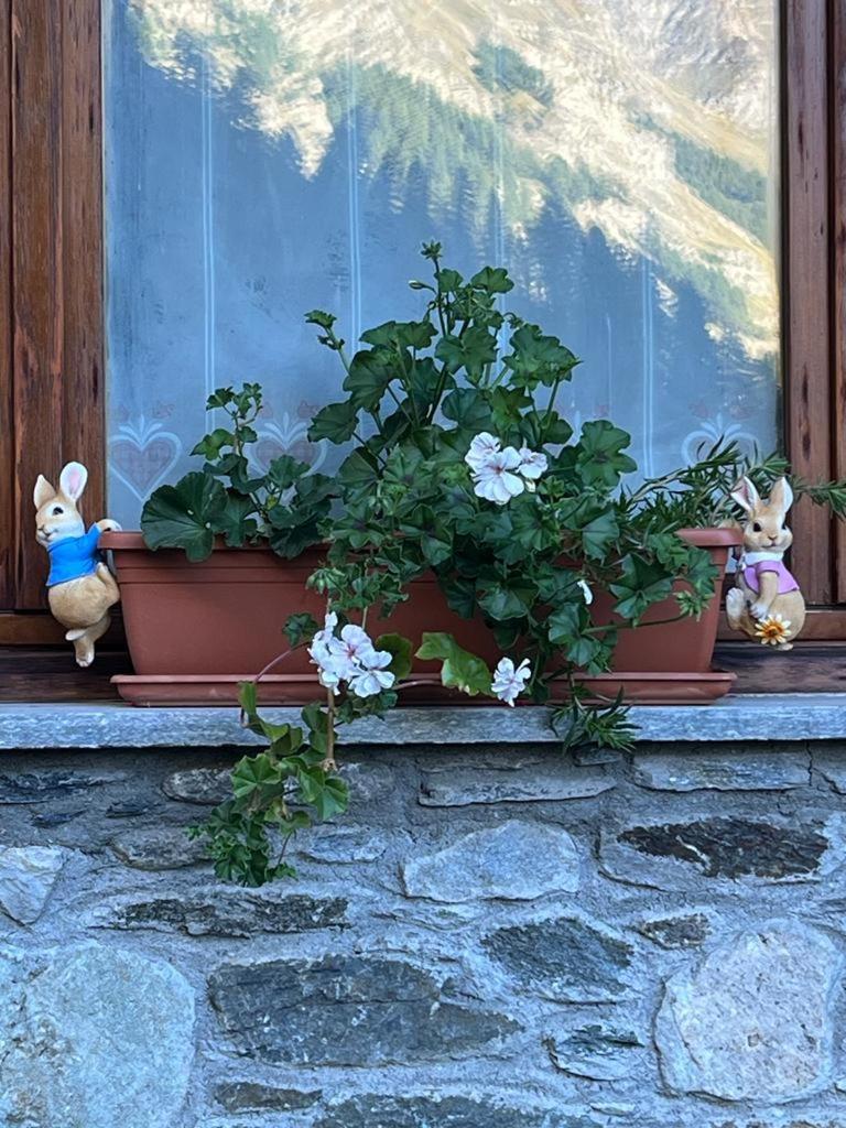Photo 22