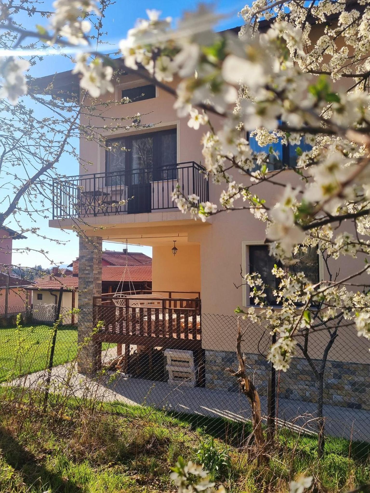 Bella family guest house