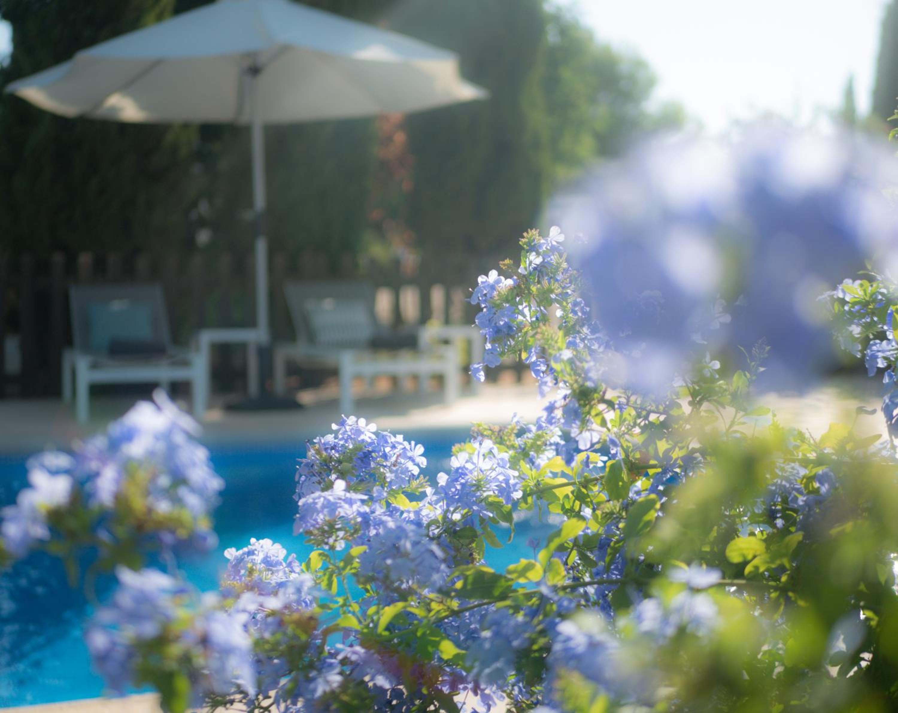Boutique Bed & Breakfast Casa Paco - adults only