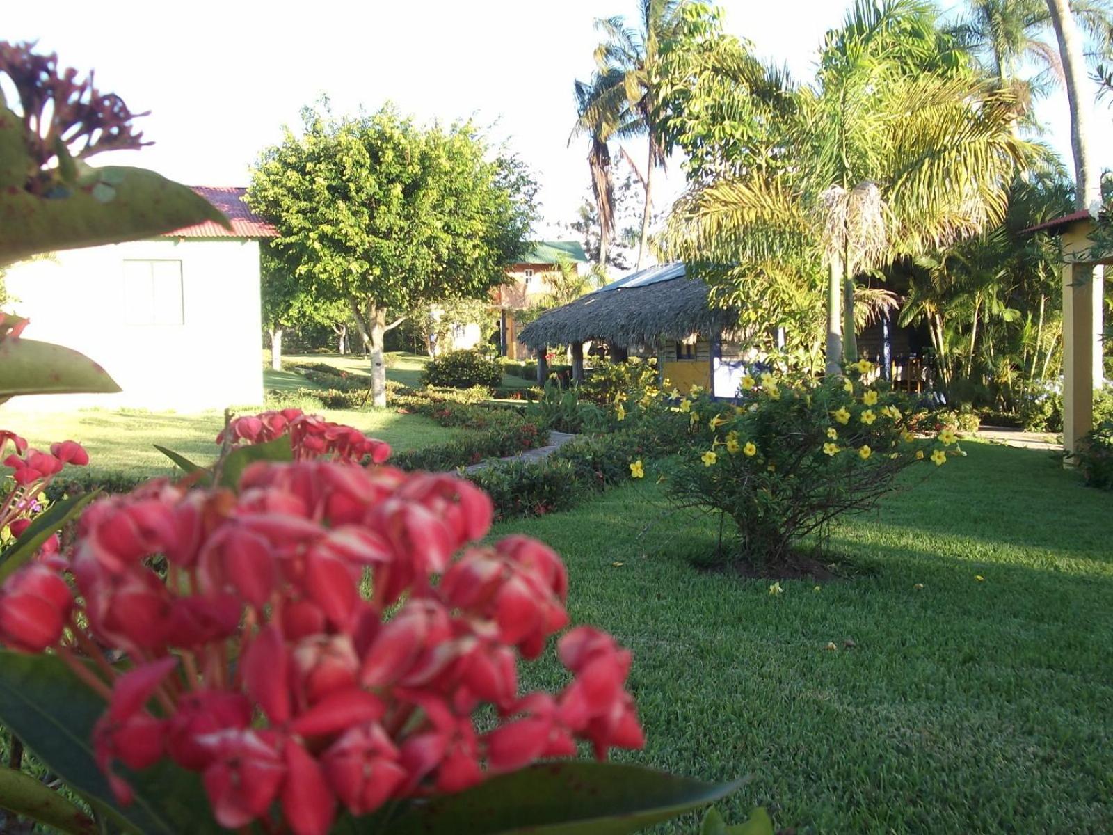 Los Bohios Campo Añil
