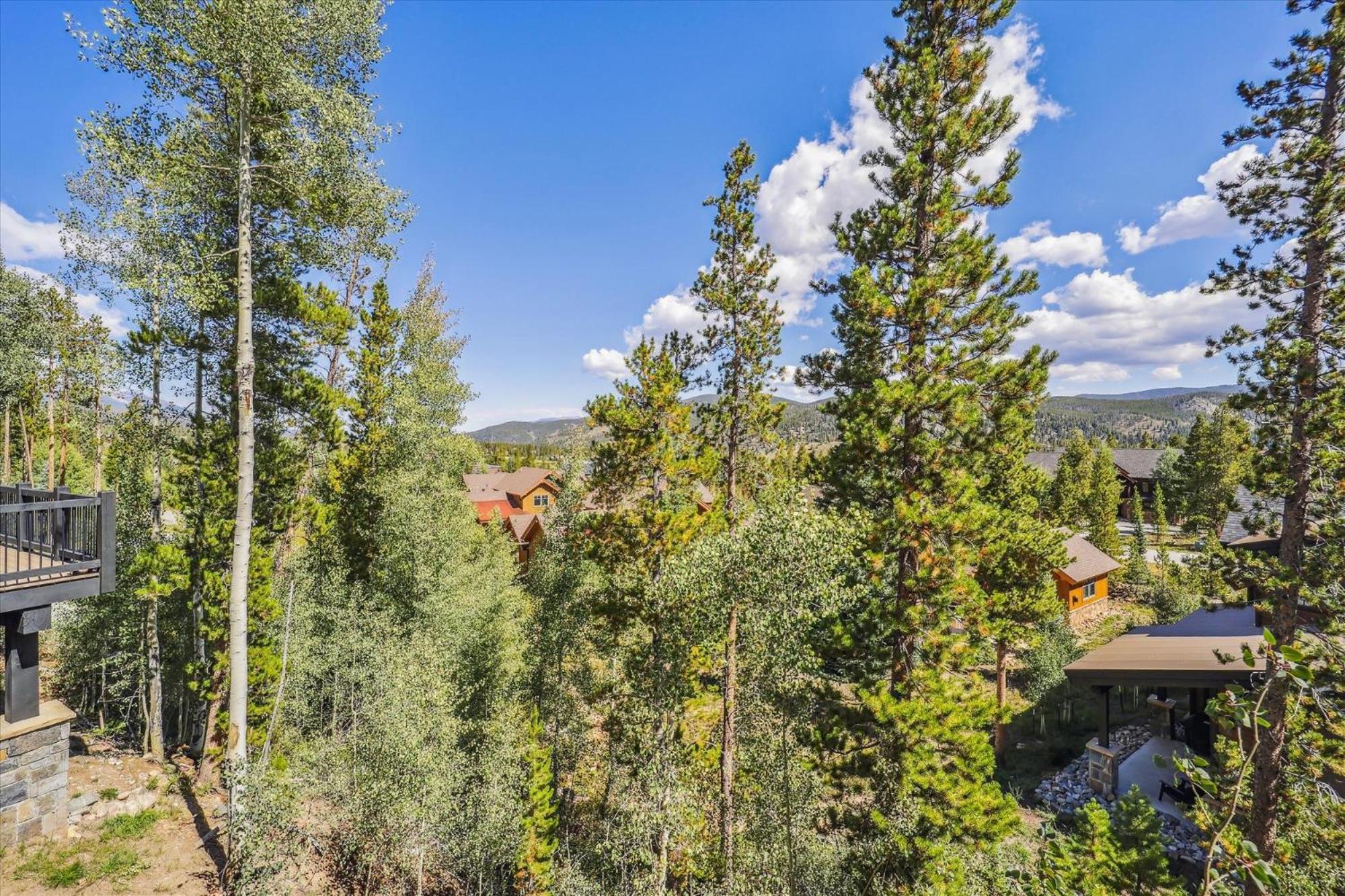 Wolverine Lookout townhouse