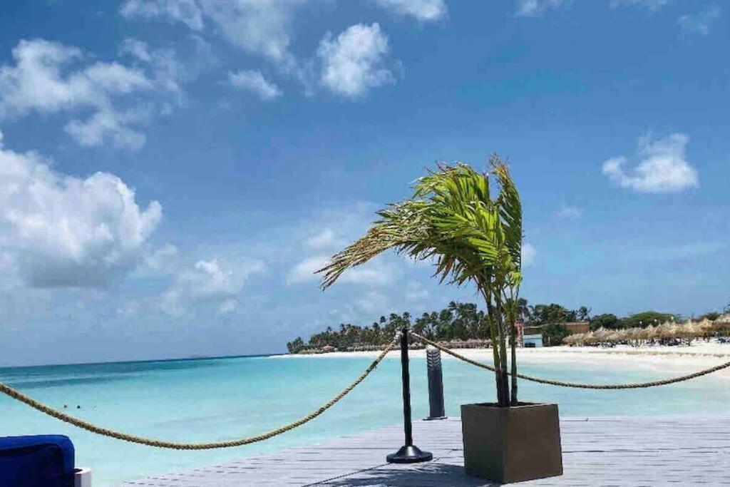 Eagle Beach Aruba Breeze Condominium Lime