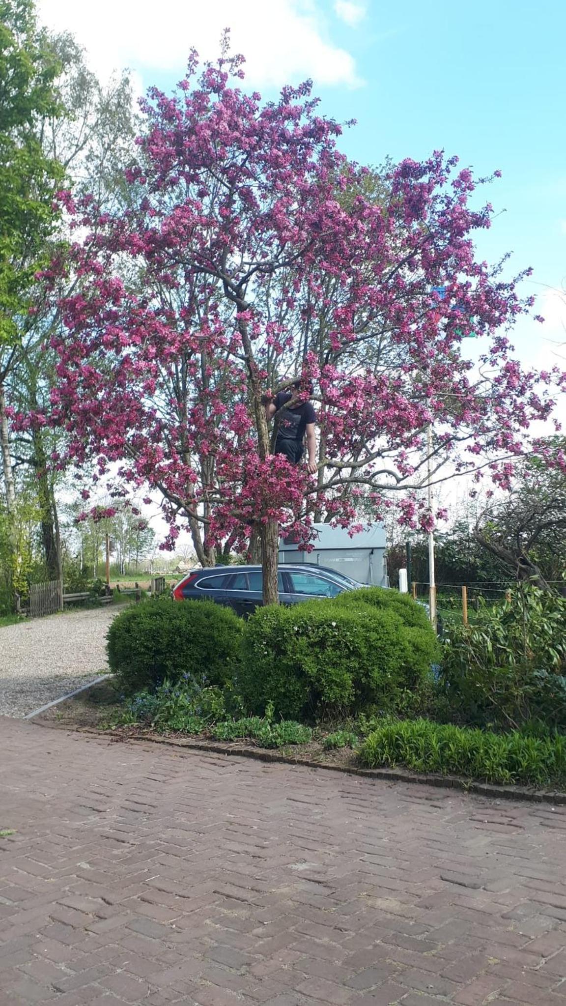 Gastenverblijf 't Oelengoor view 4