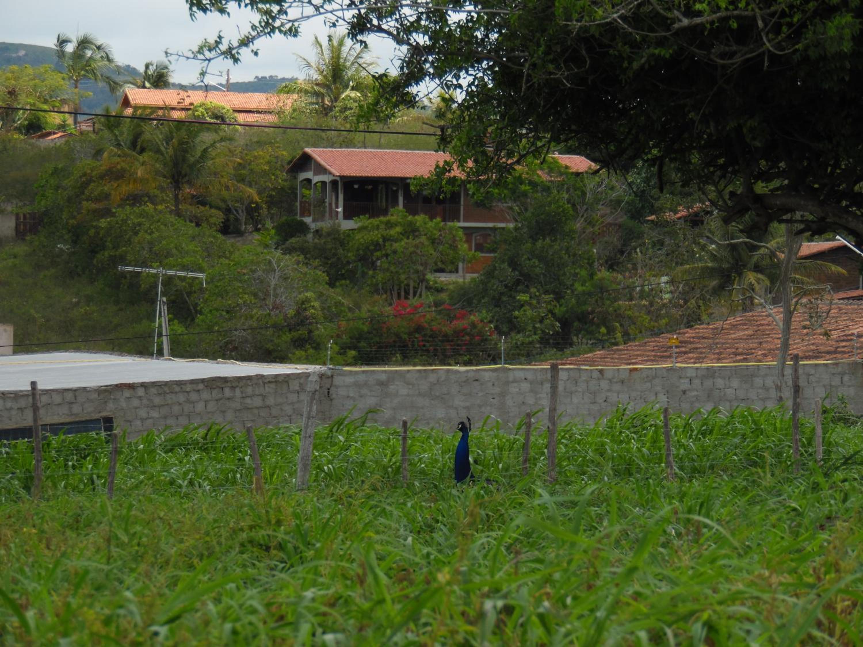 Flat 404 Villa Hipica