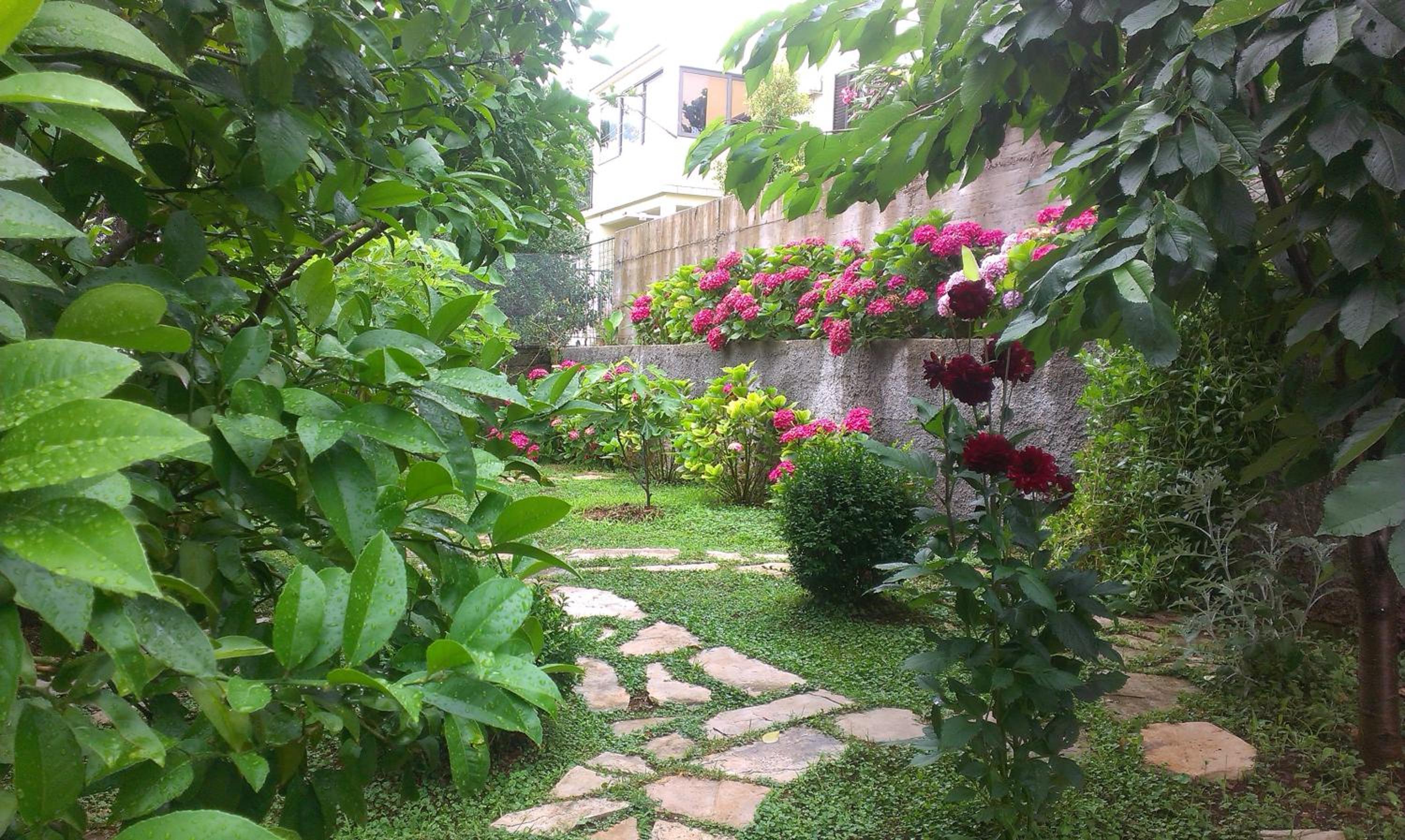 Photo 54