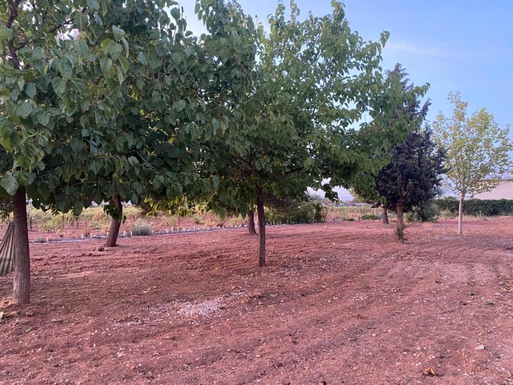 Casa rural La Hontanilla