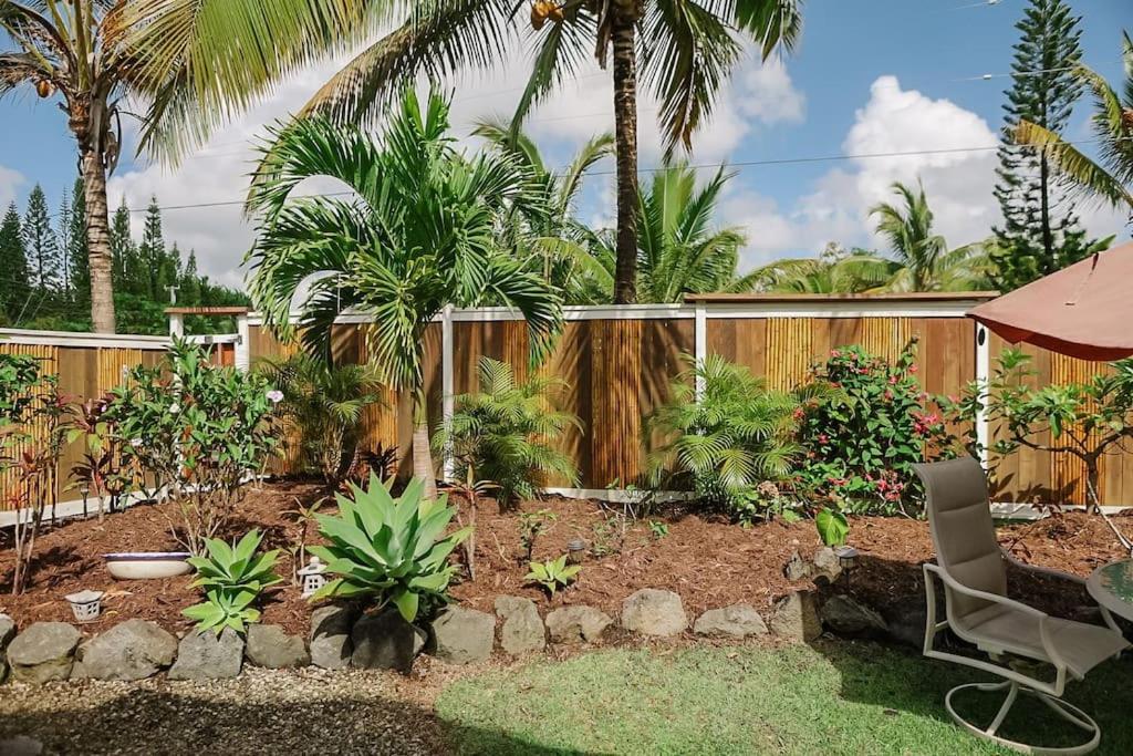 Pahoa Paradise Palms