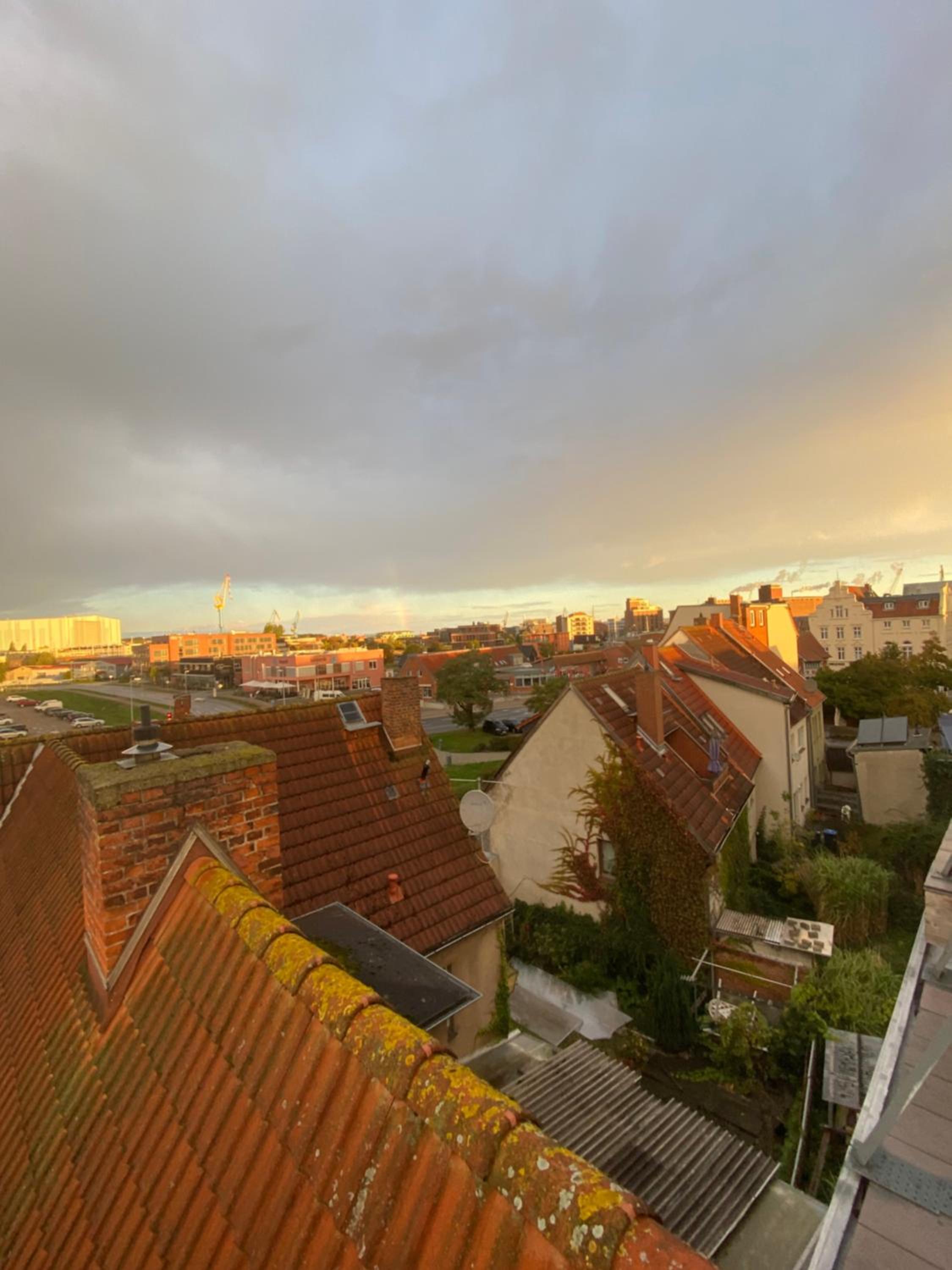 roof