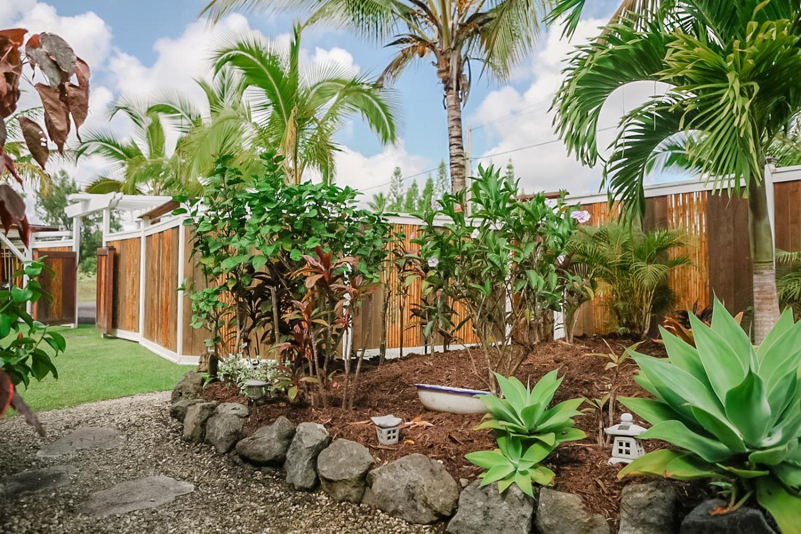 Pahoa Paradise Palms