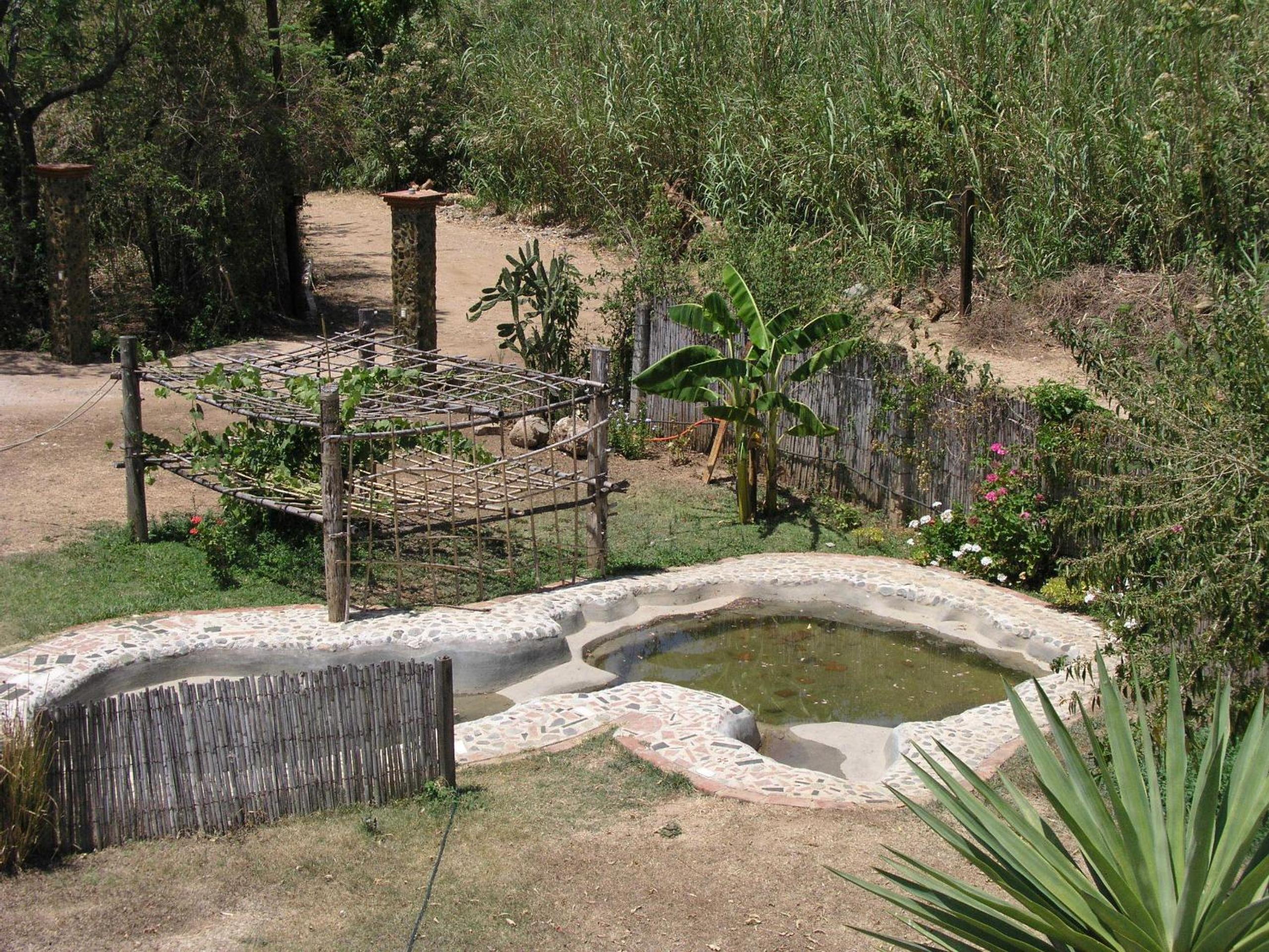 Photo 12