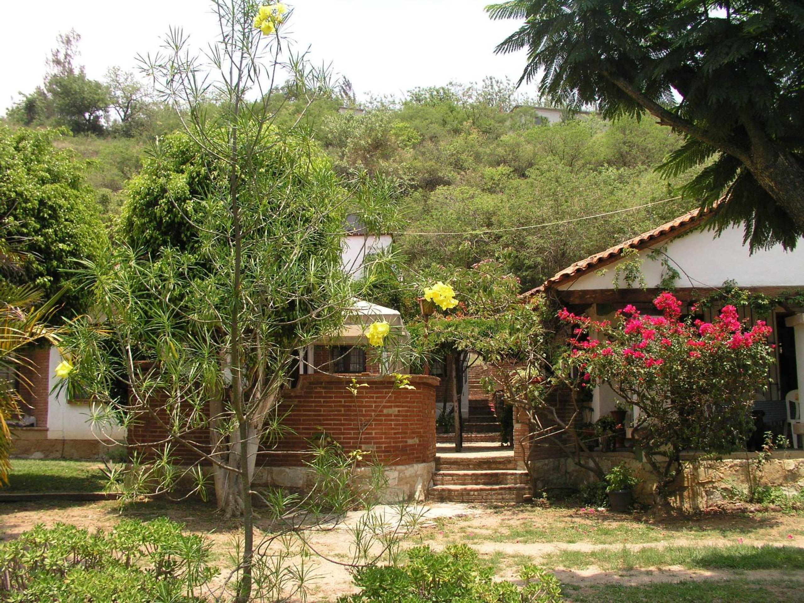 Photo 21