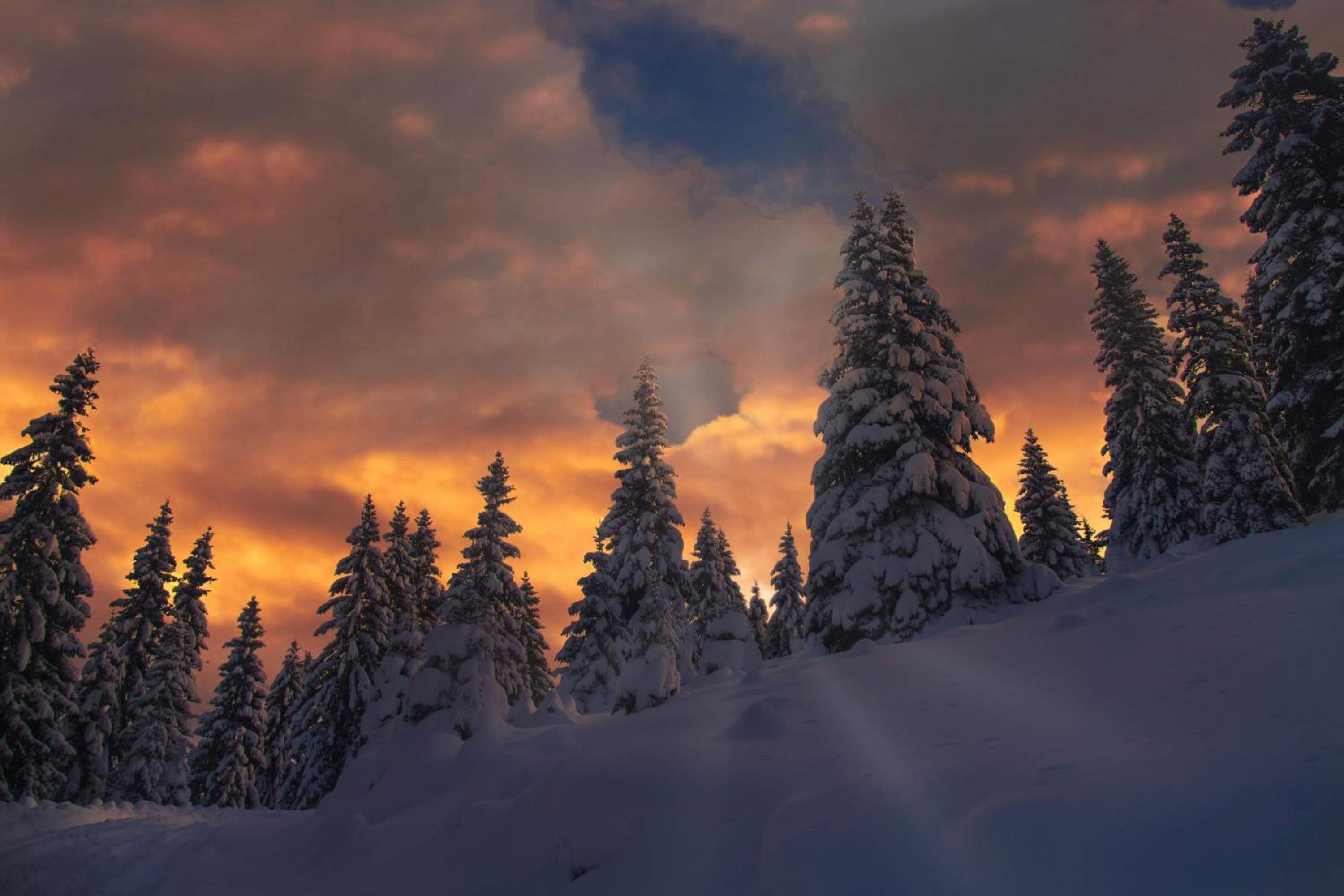 Photo 113