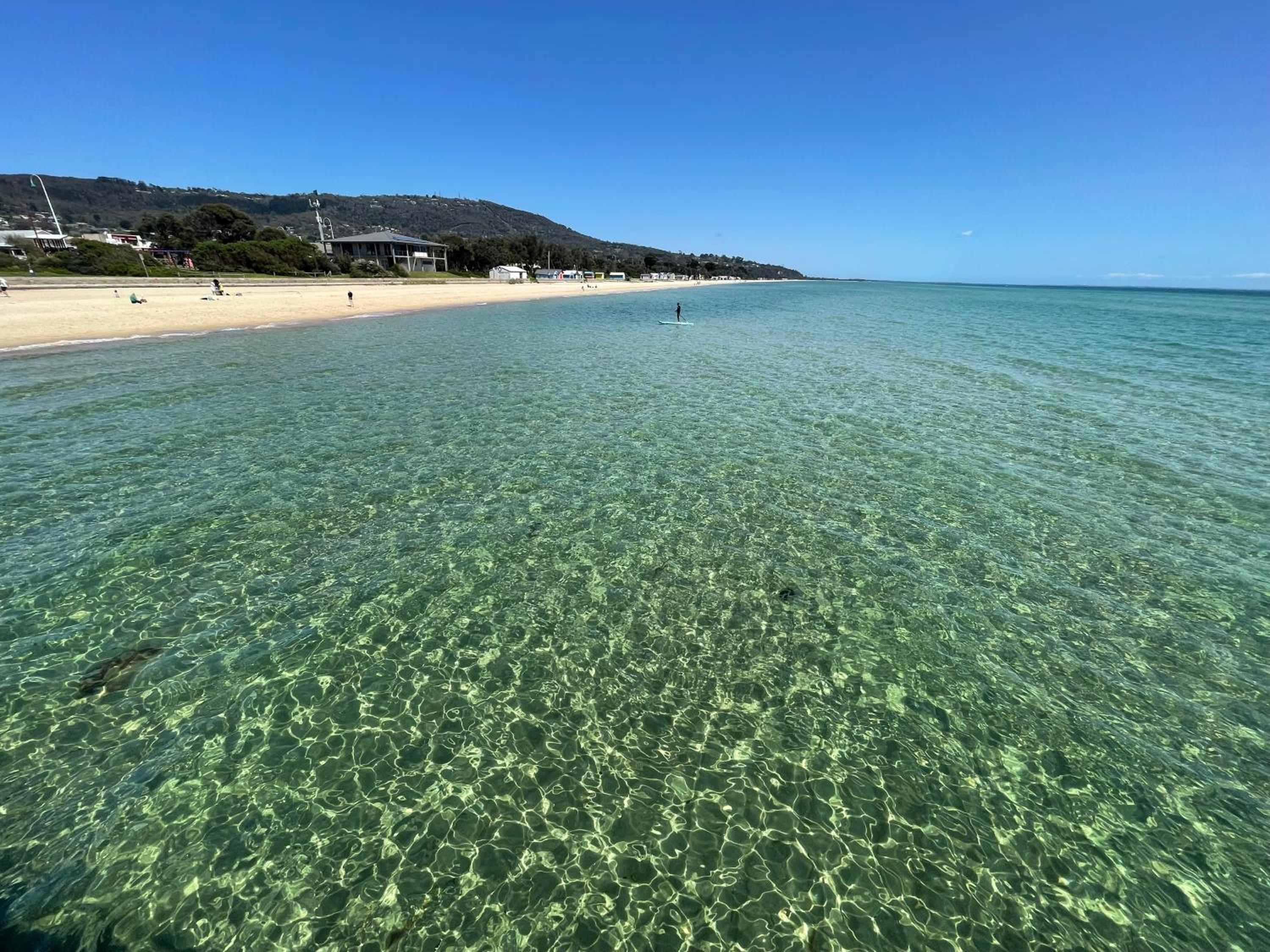 Dromana Panoramic Views