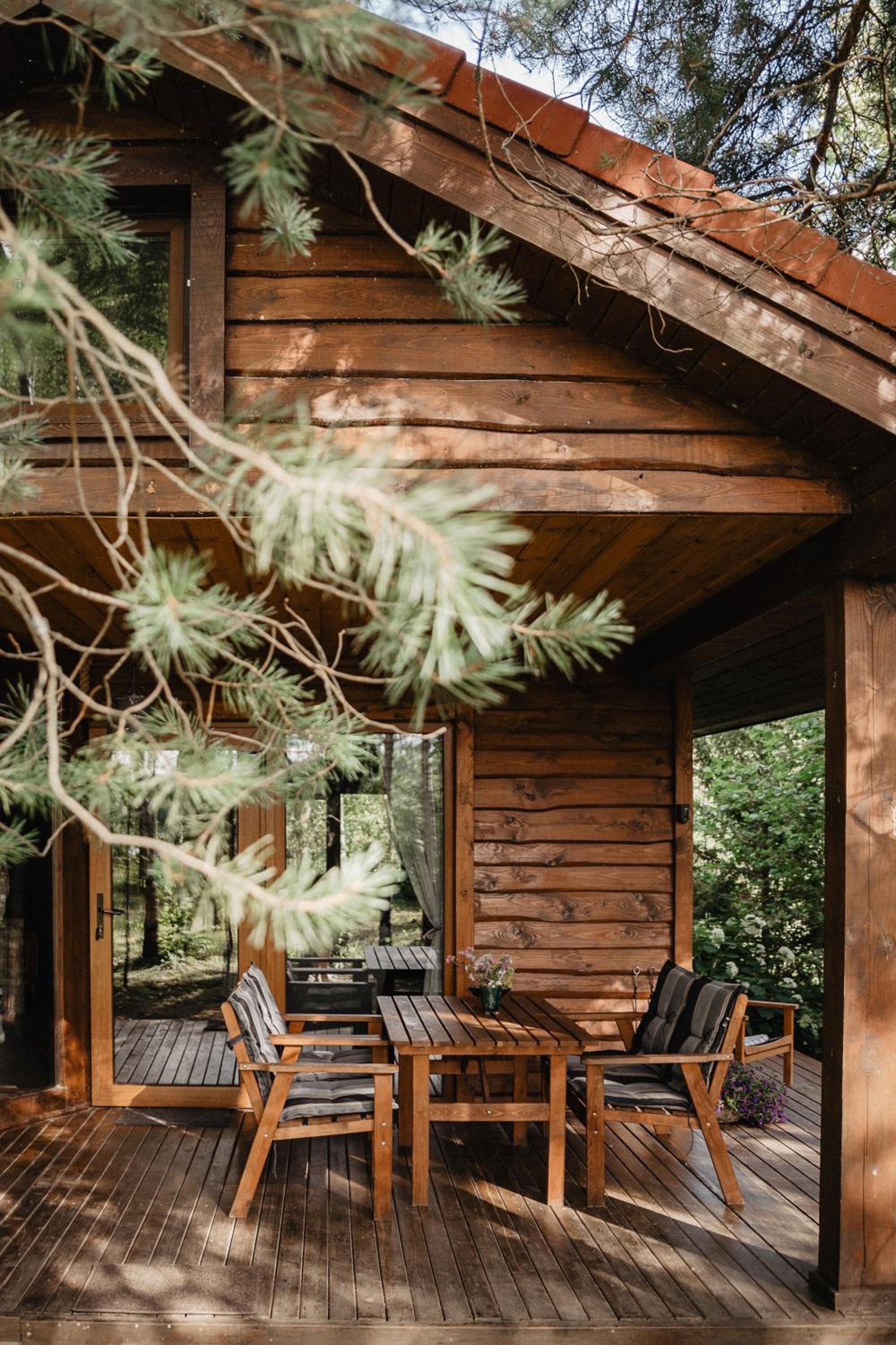 Beržų namelis - Birch cabin view 2