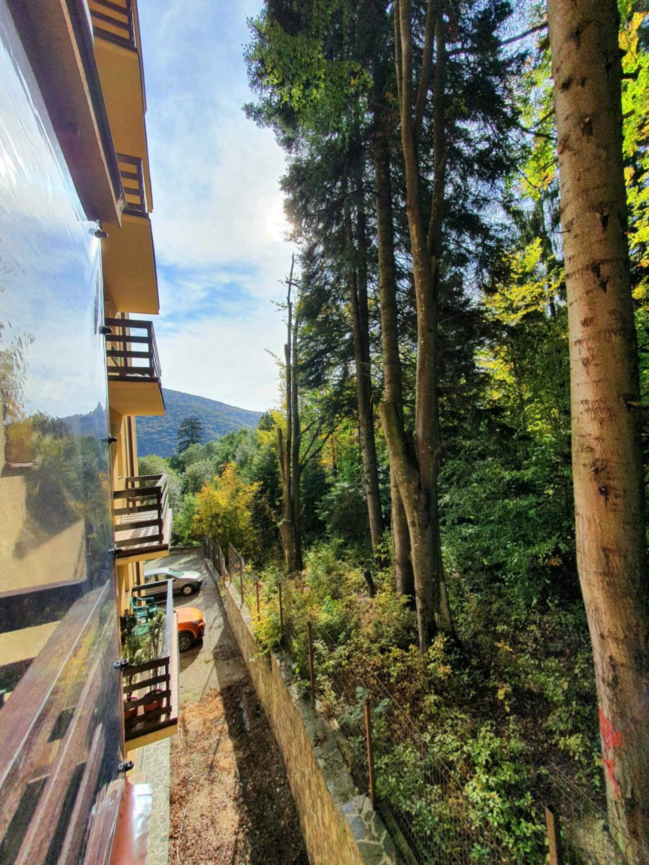 Forest Apartments view 2